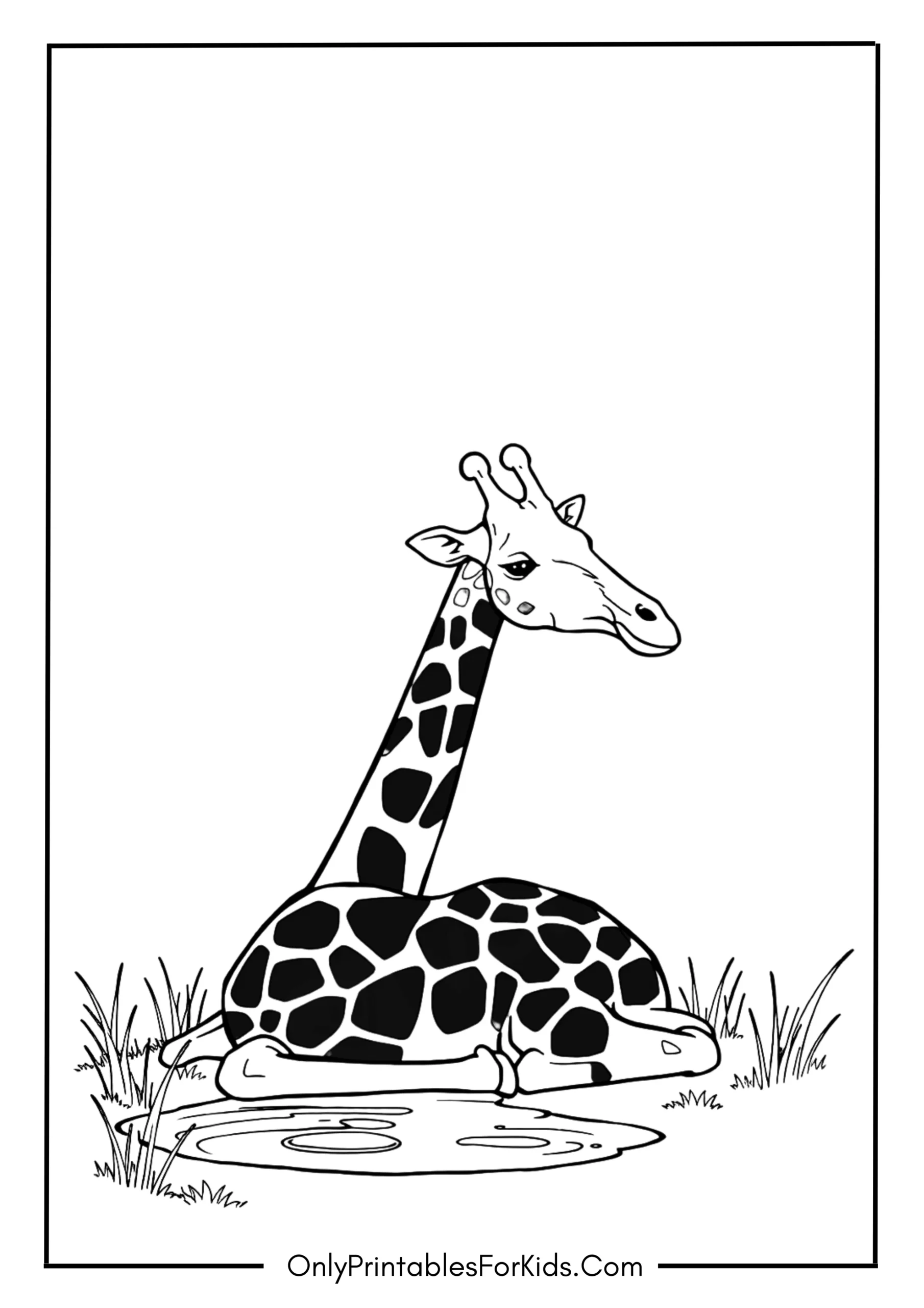 Giraffe Resting by a Pond