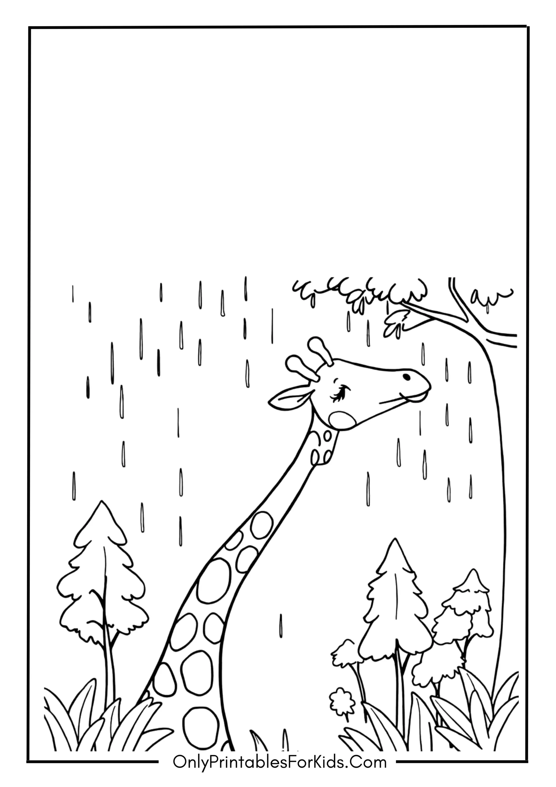 Giraffe Standing in a Rainy Forest