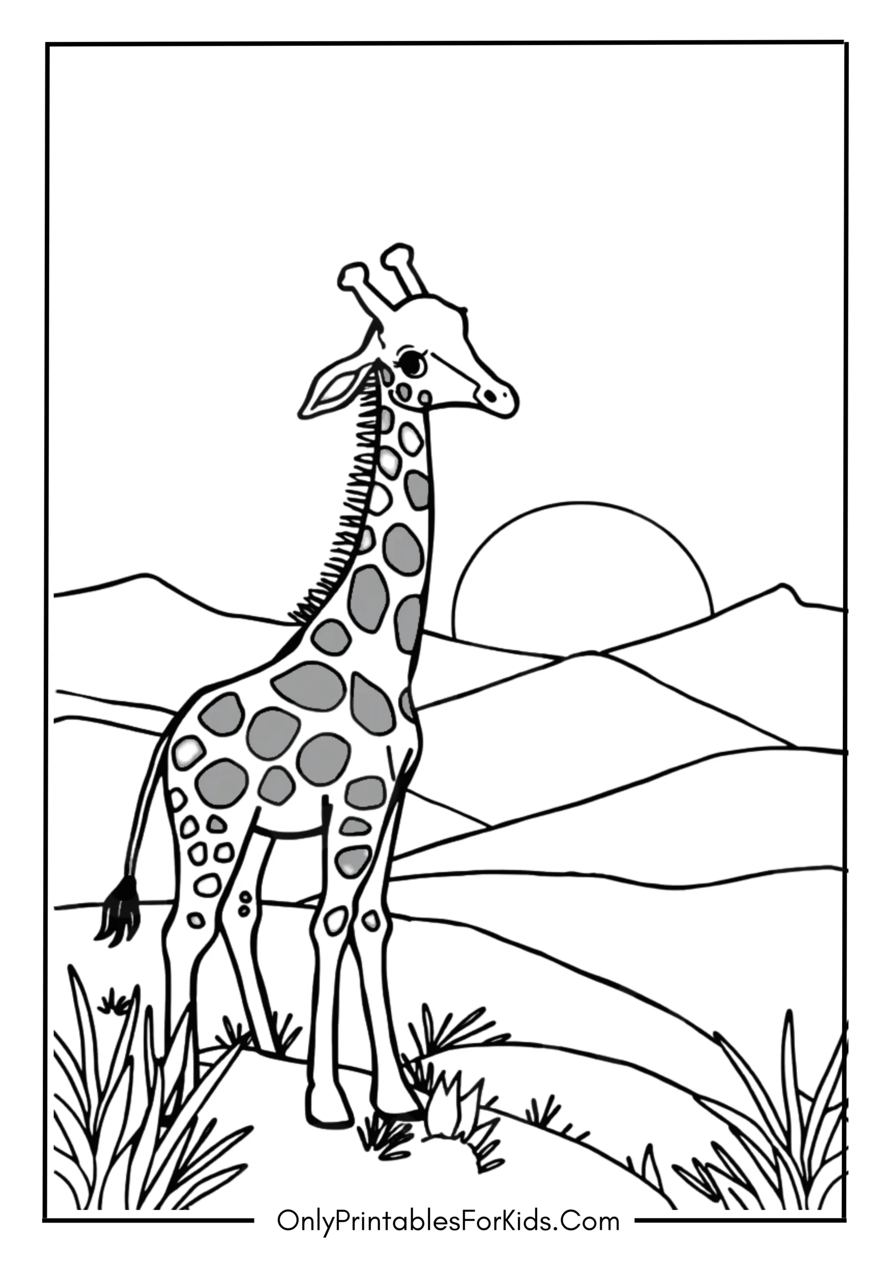 Giraffe Watching the Sunrise Over the Hills