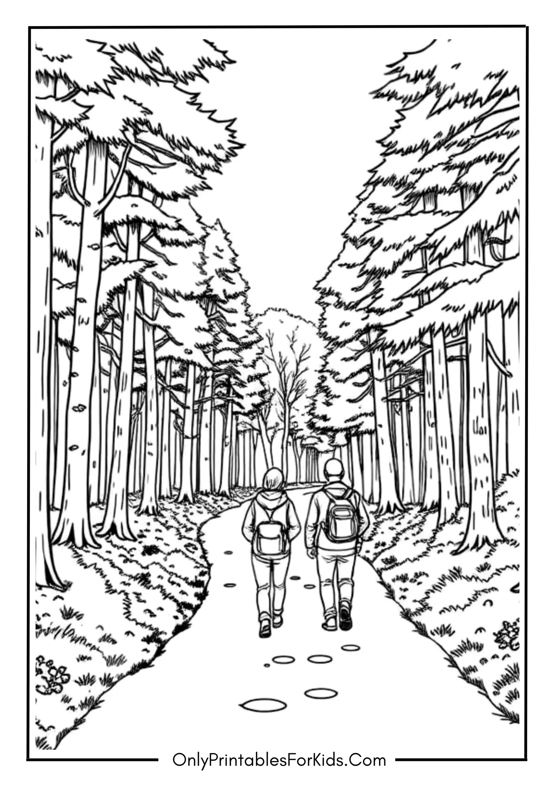 November Forest Walk with Friends