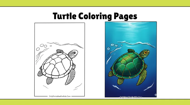 Turtle Coloring Pages