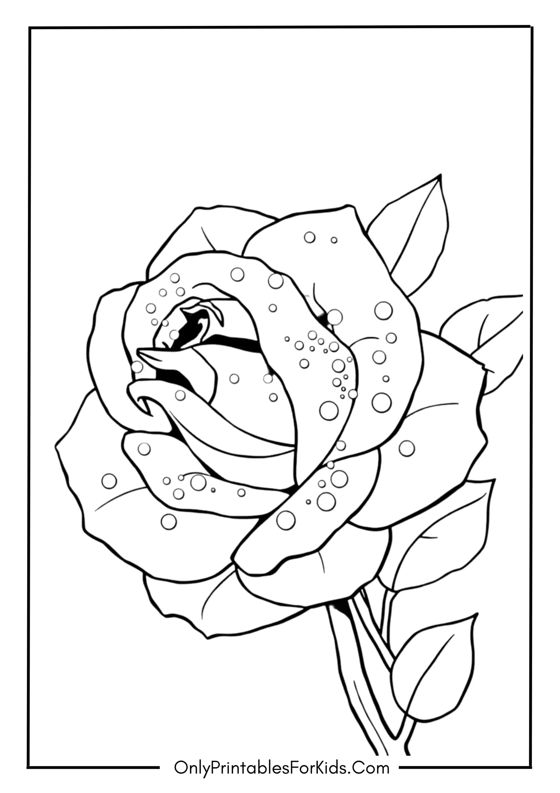 A Glistening Rose Covered in Morning Dew