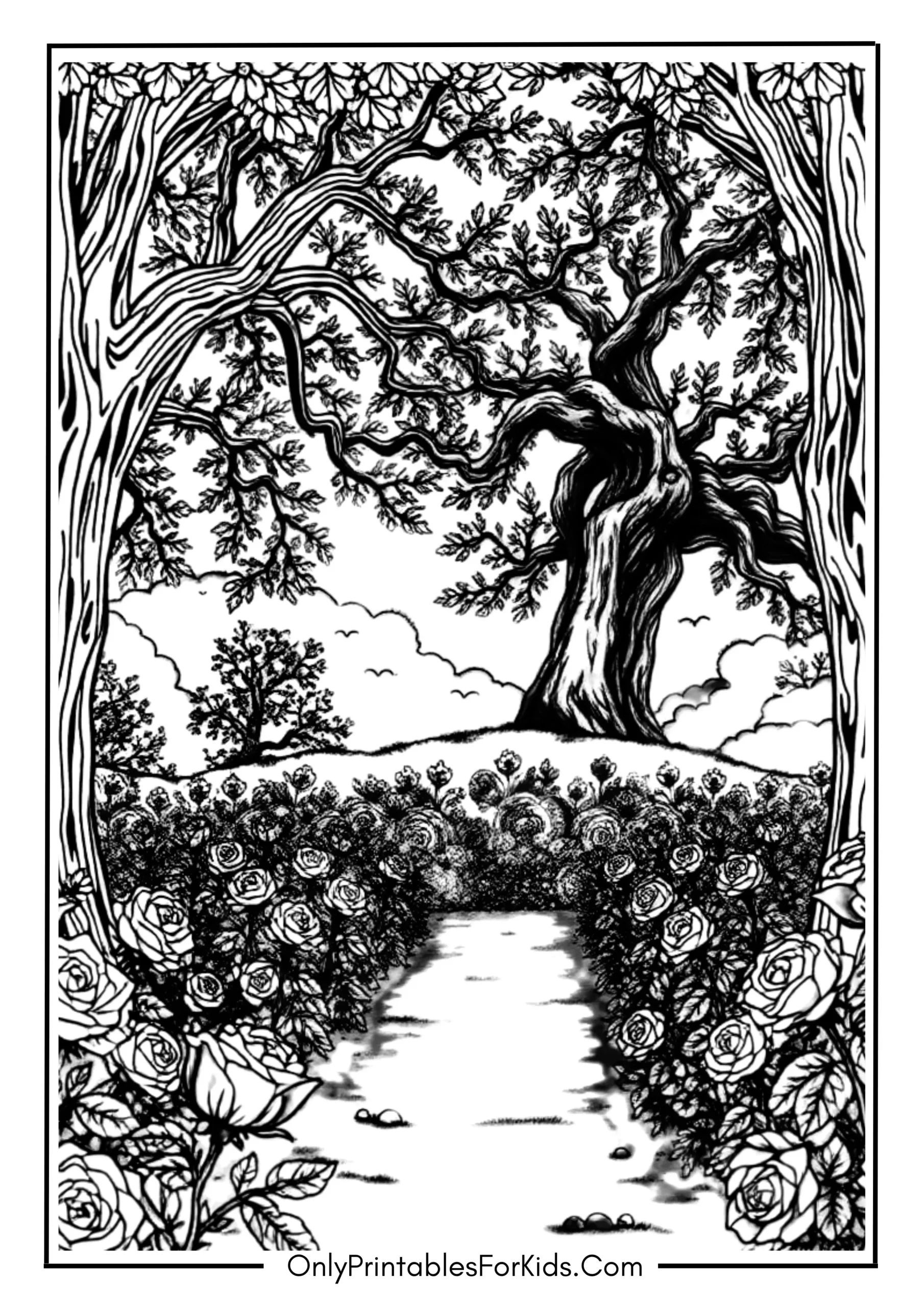 A Rose Garden Surrounded by Old Trees