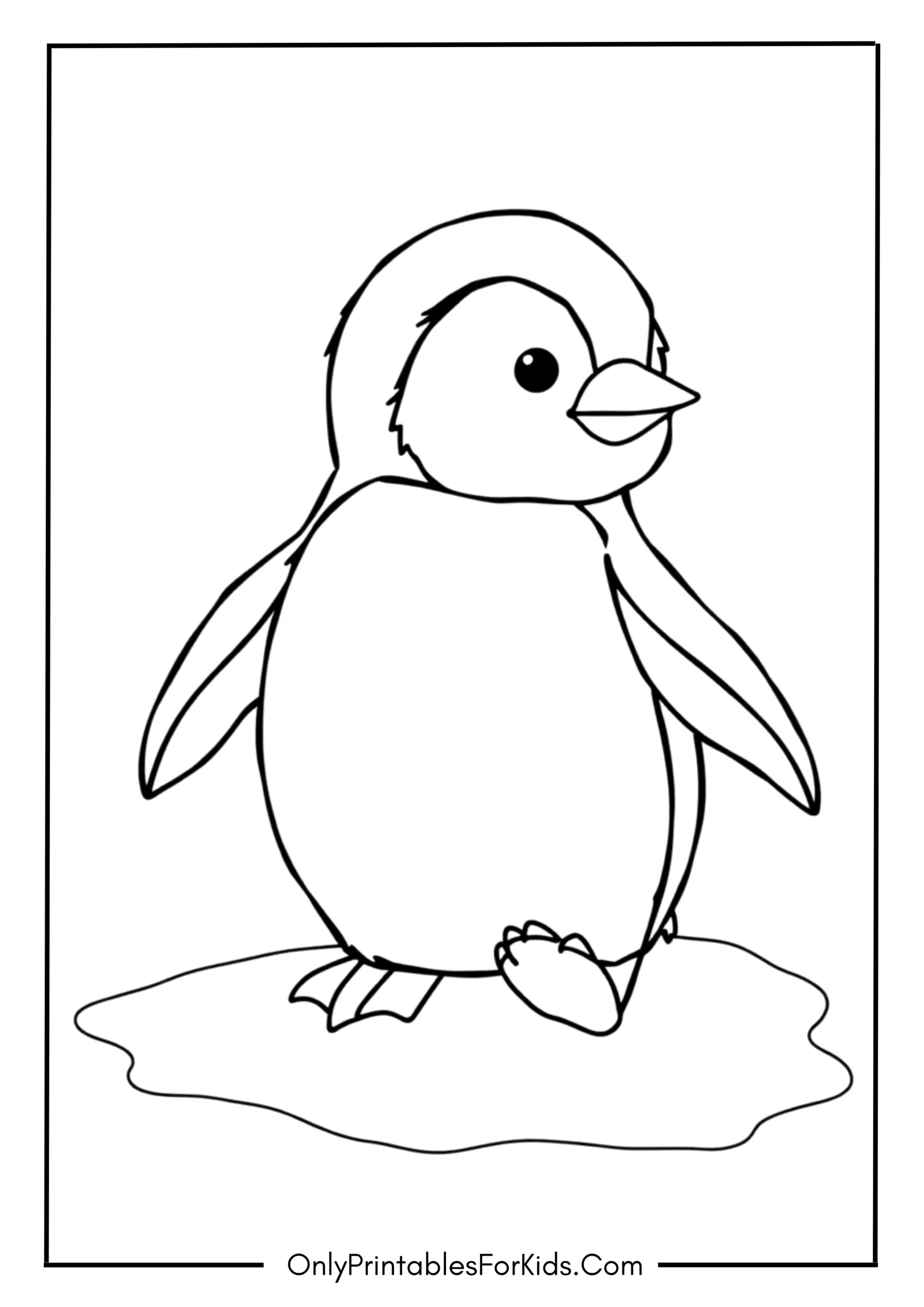 Baby Penguin Learning to Walk