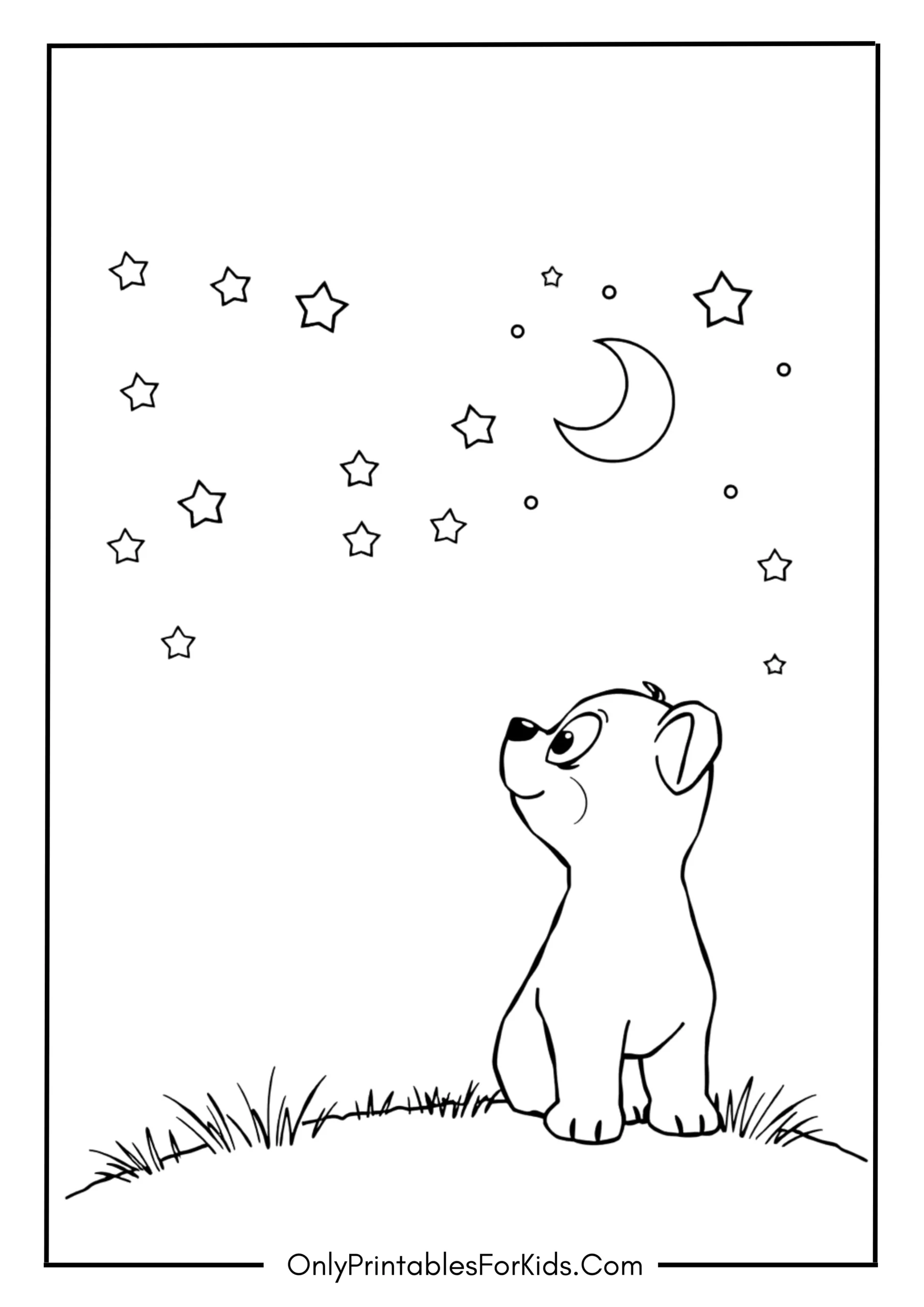 Bluey Under the Stars