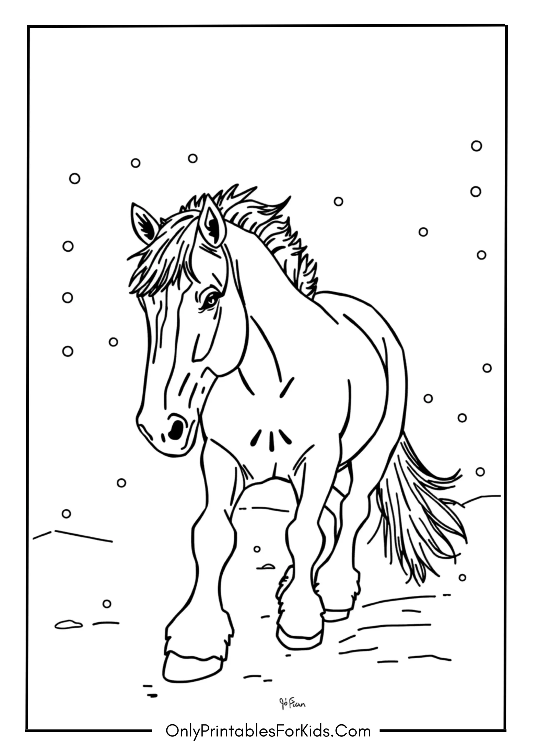 Clydesdale Horse Walking Through Snow