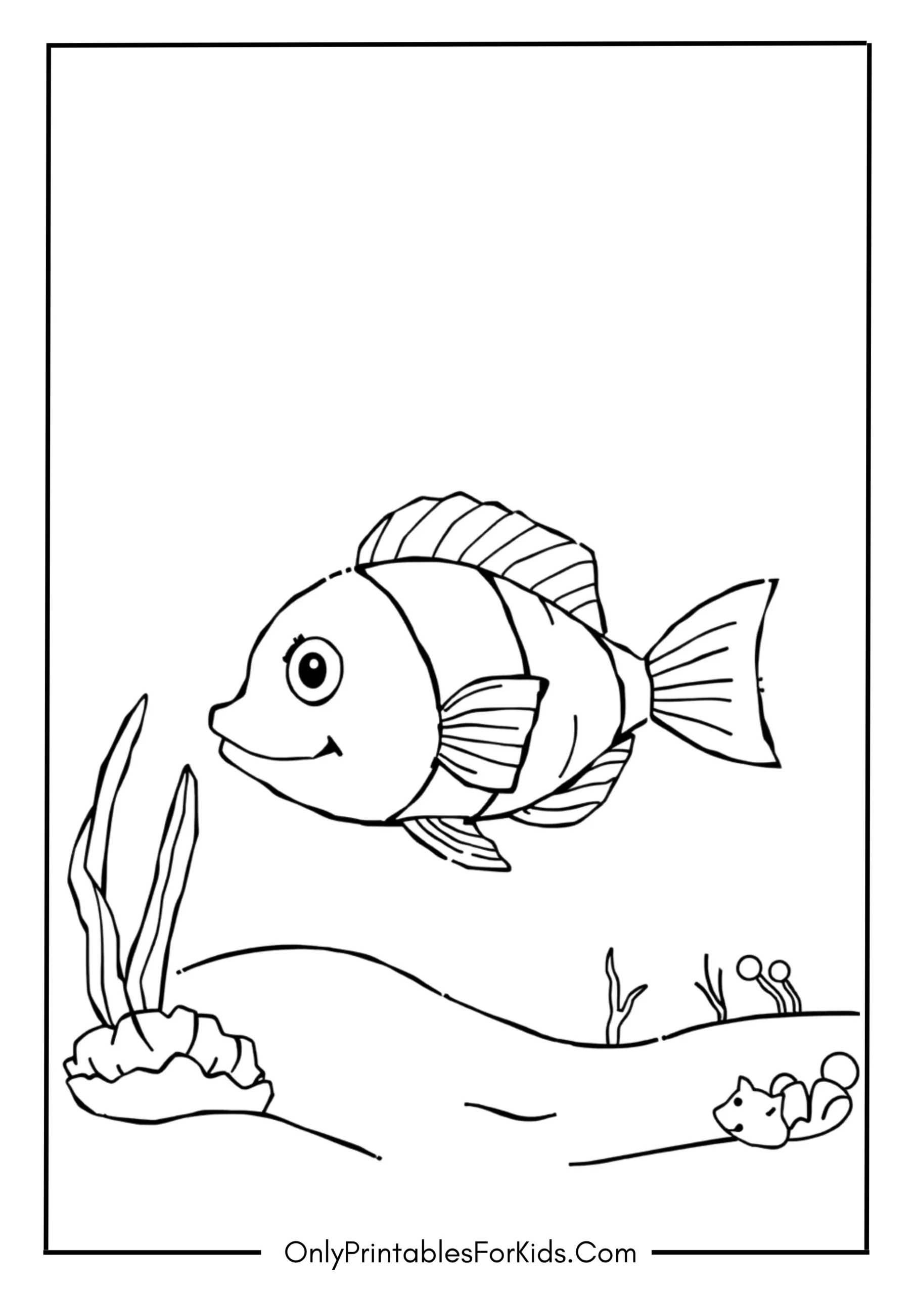 Colorful Fish in a Sandy Bay