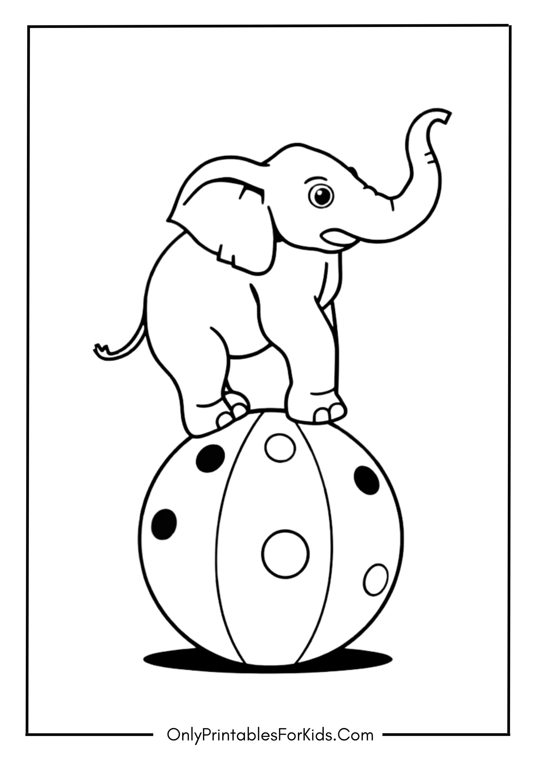 Elephant Balancing On A Circus Ball