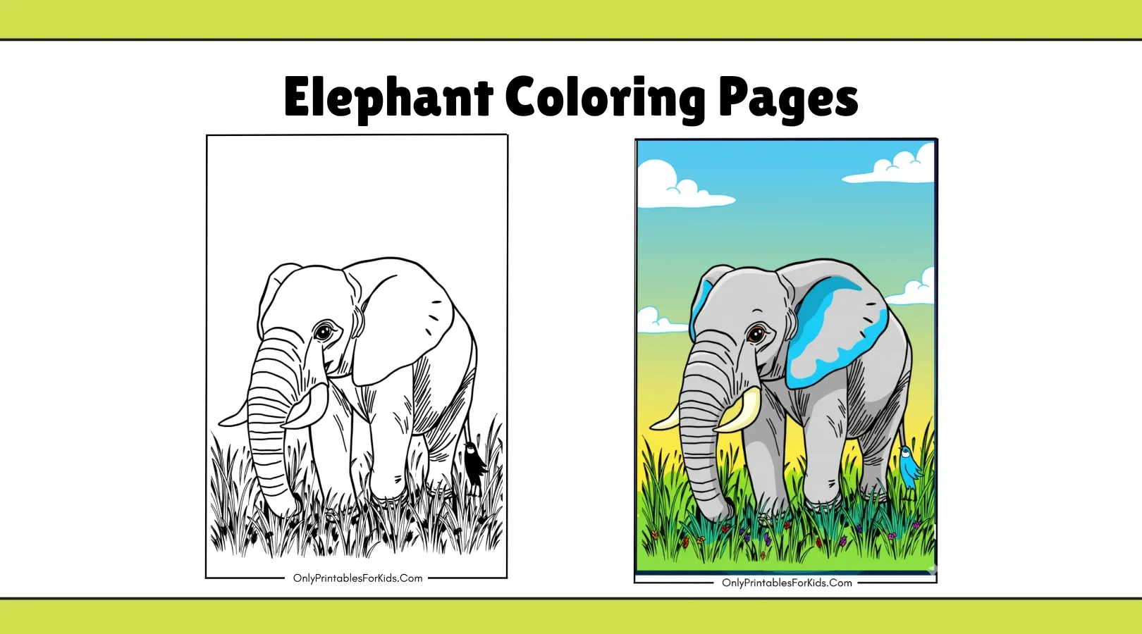Adorable Elephant Coloring Pages | Free Printables