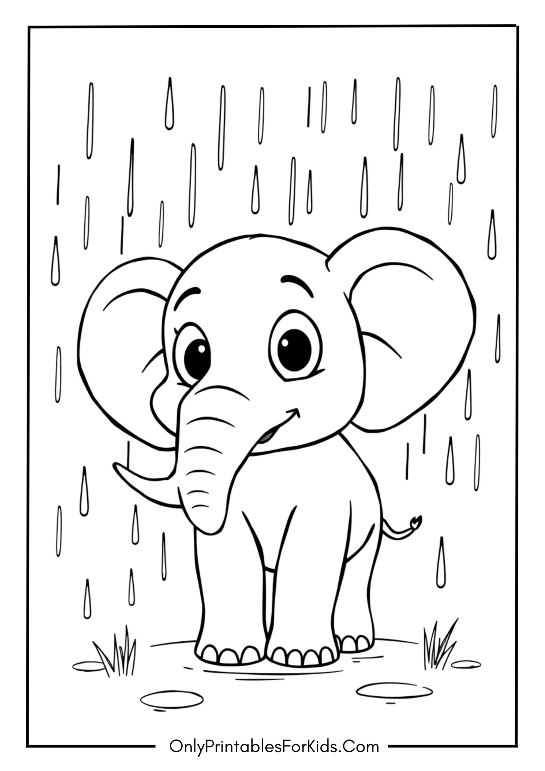 Elephant With Big Eyes In The Rain