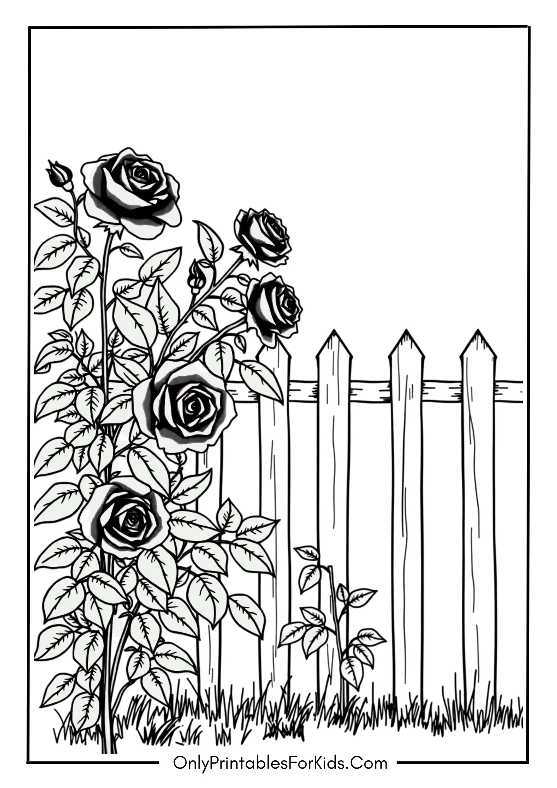 Enchanting Rose Bush by a Garden Fence