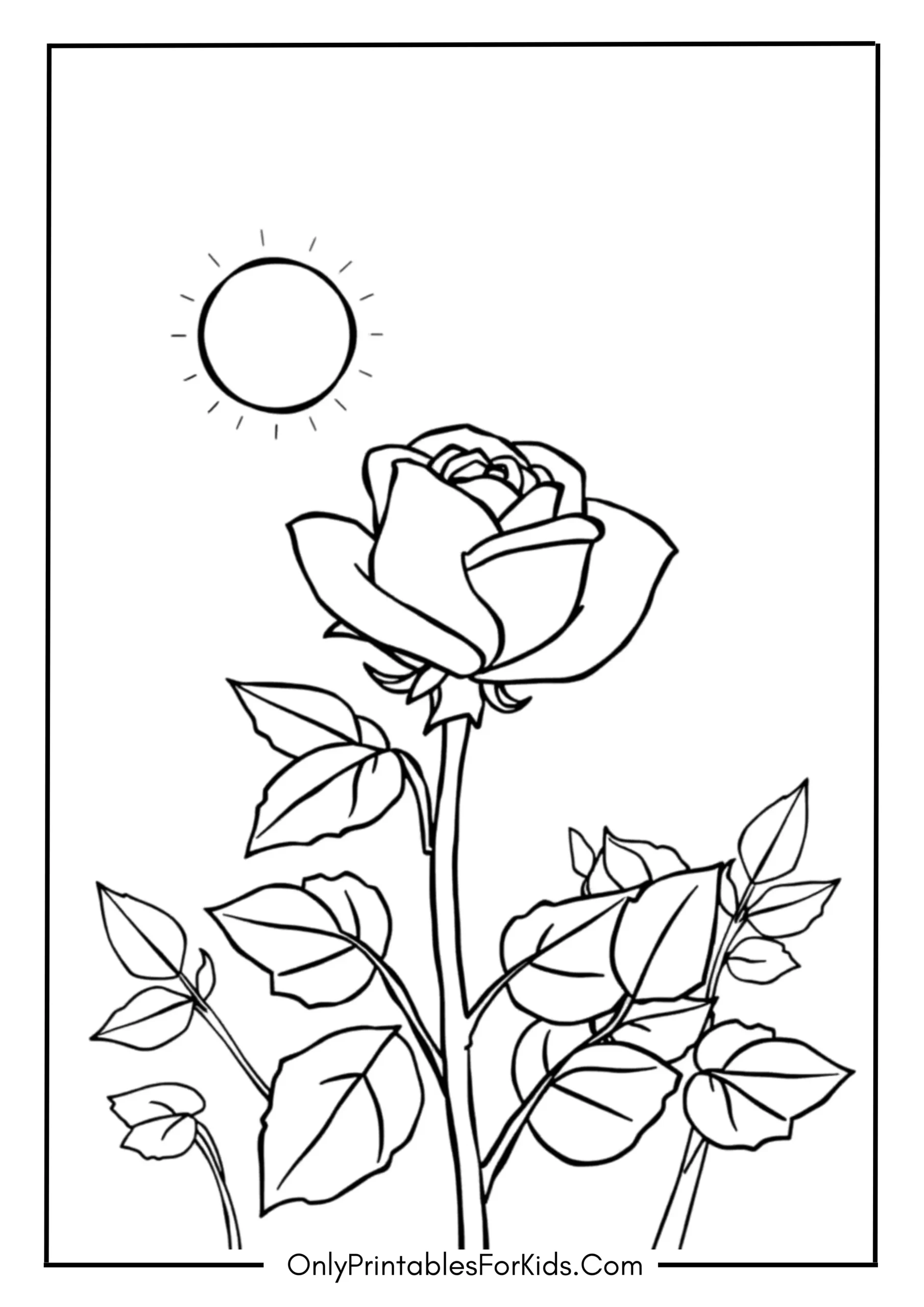 First Spring Bloom in a Rose Garden