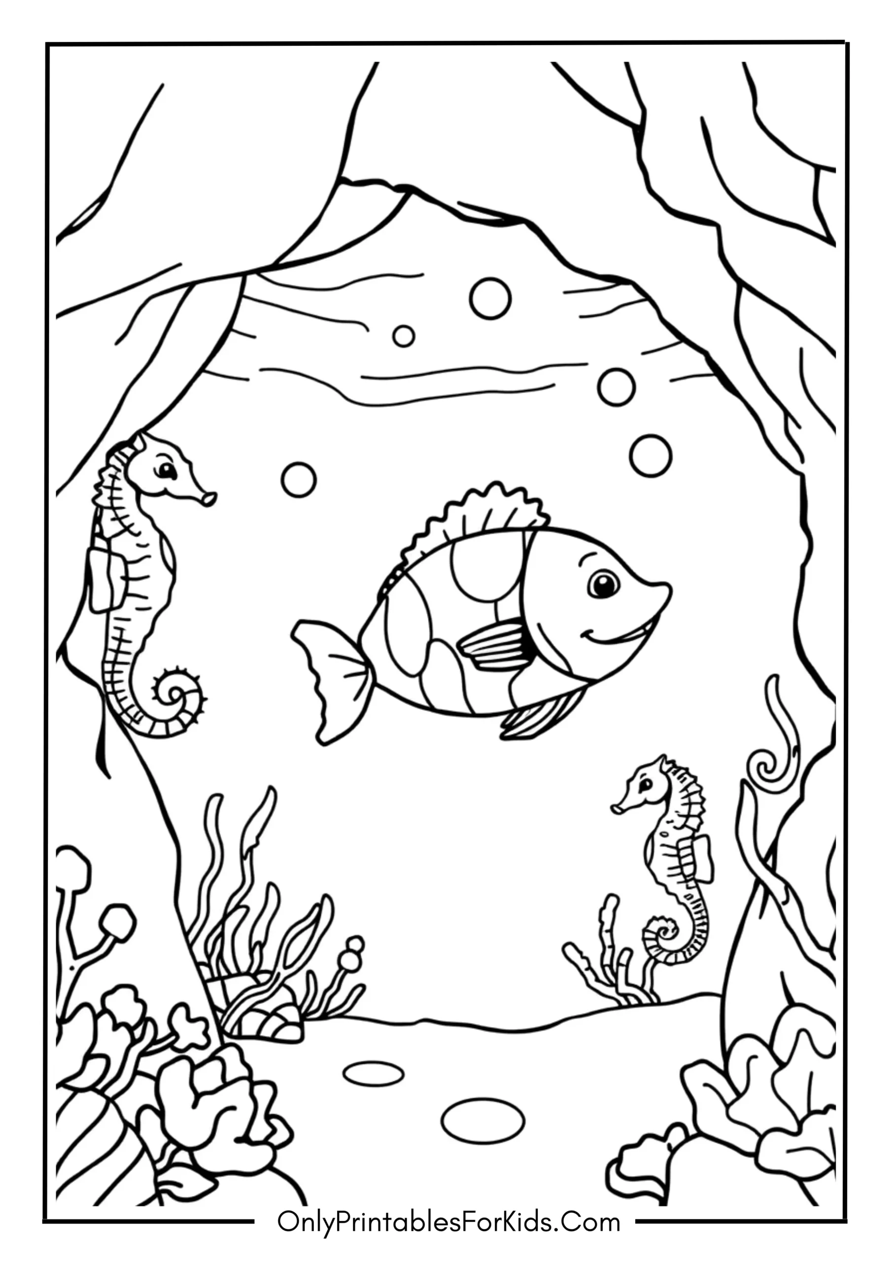 Fish and Seahorses in a Secret Cove