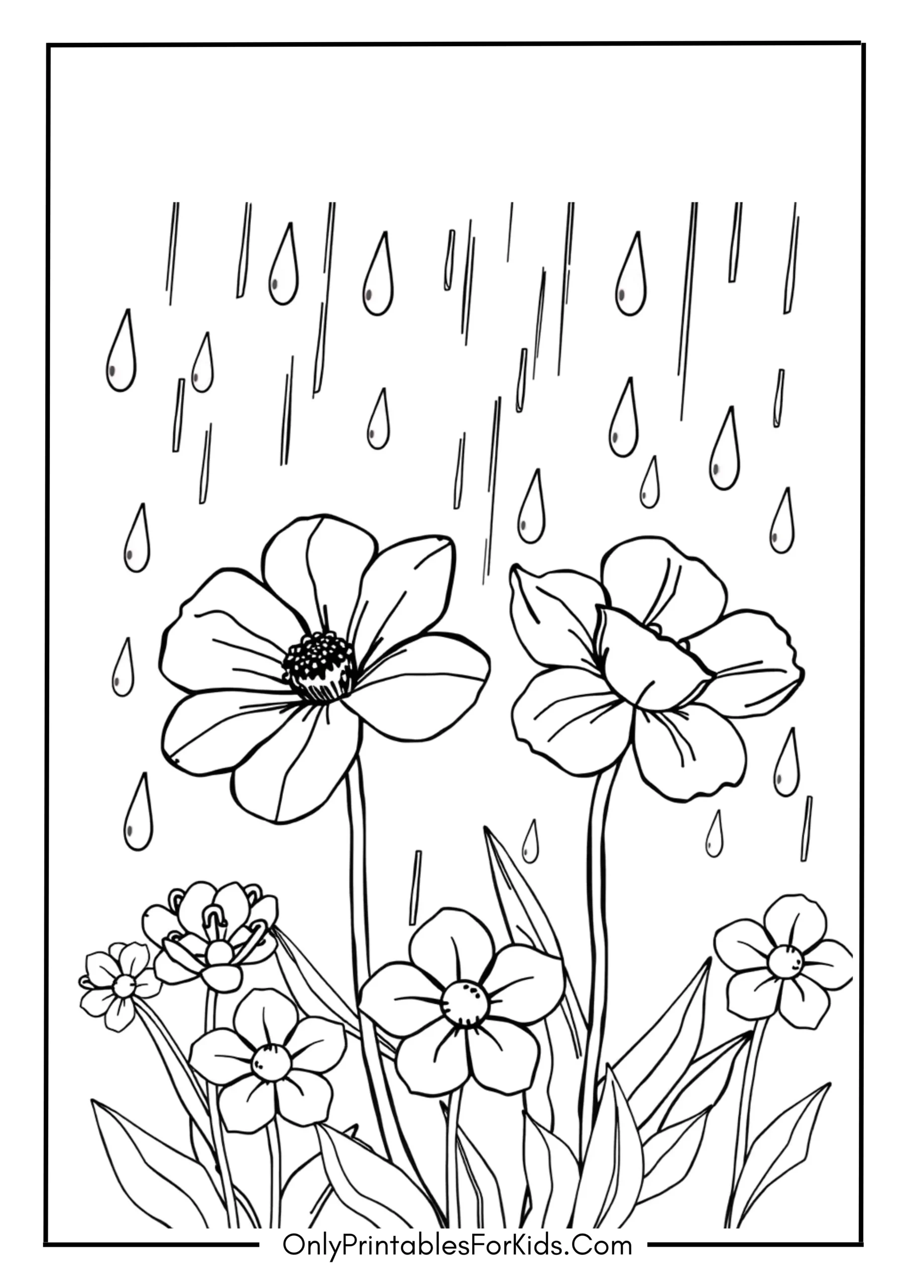 Flowers Blooming in Gentle Rain