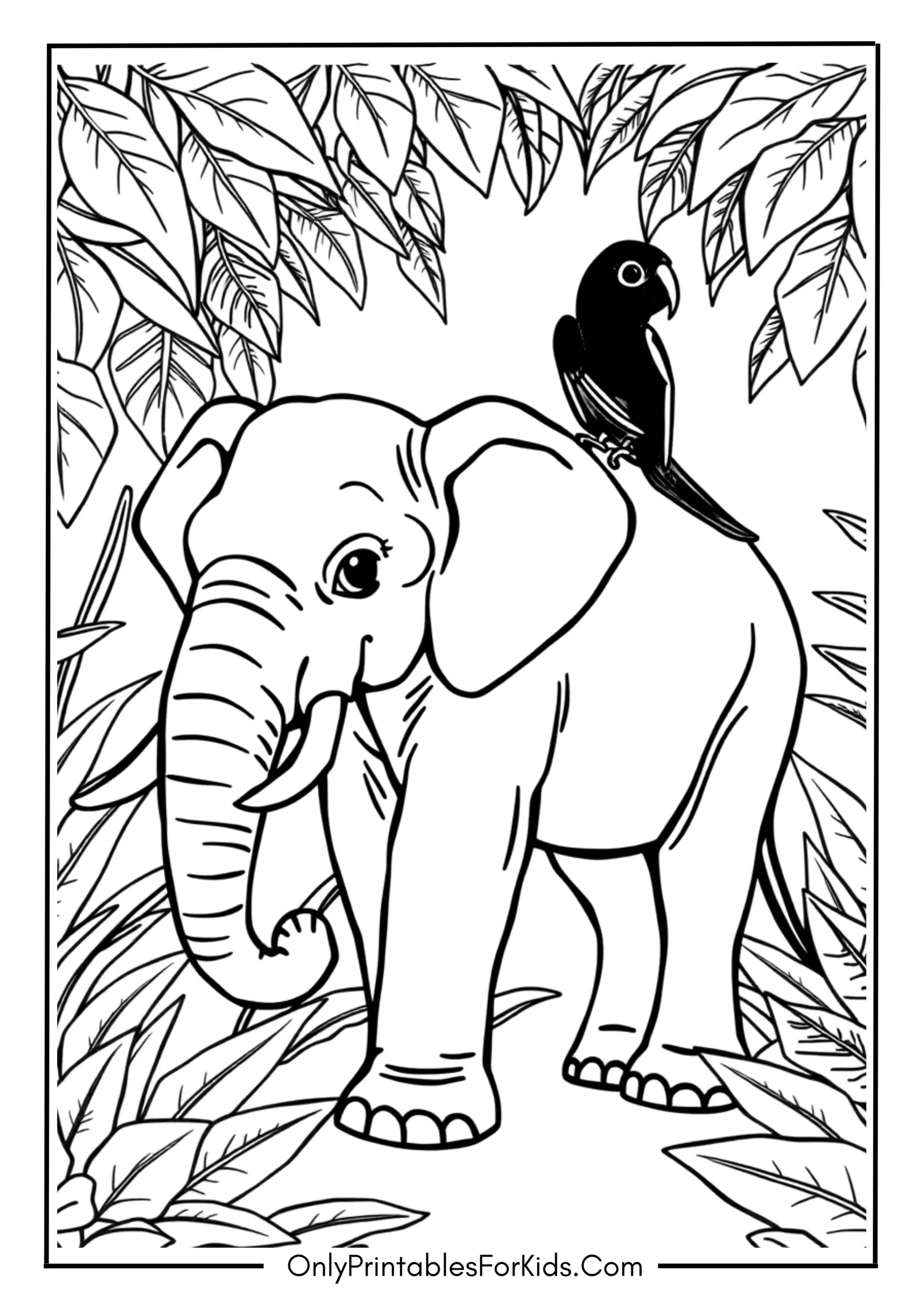 Jungle Elephant With A Parrot
