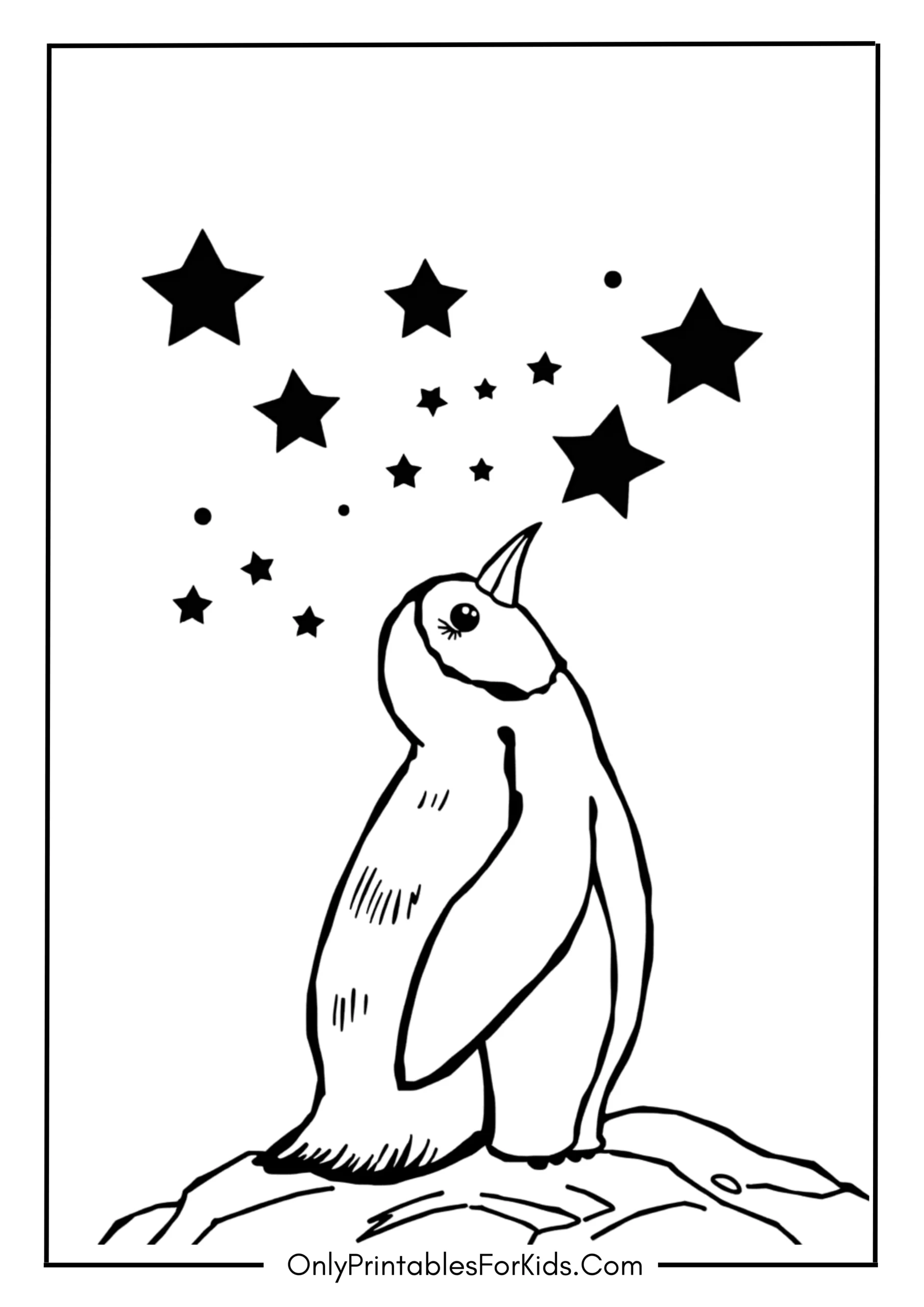 Penguin Looking at the Starry Sky