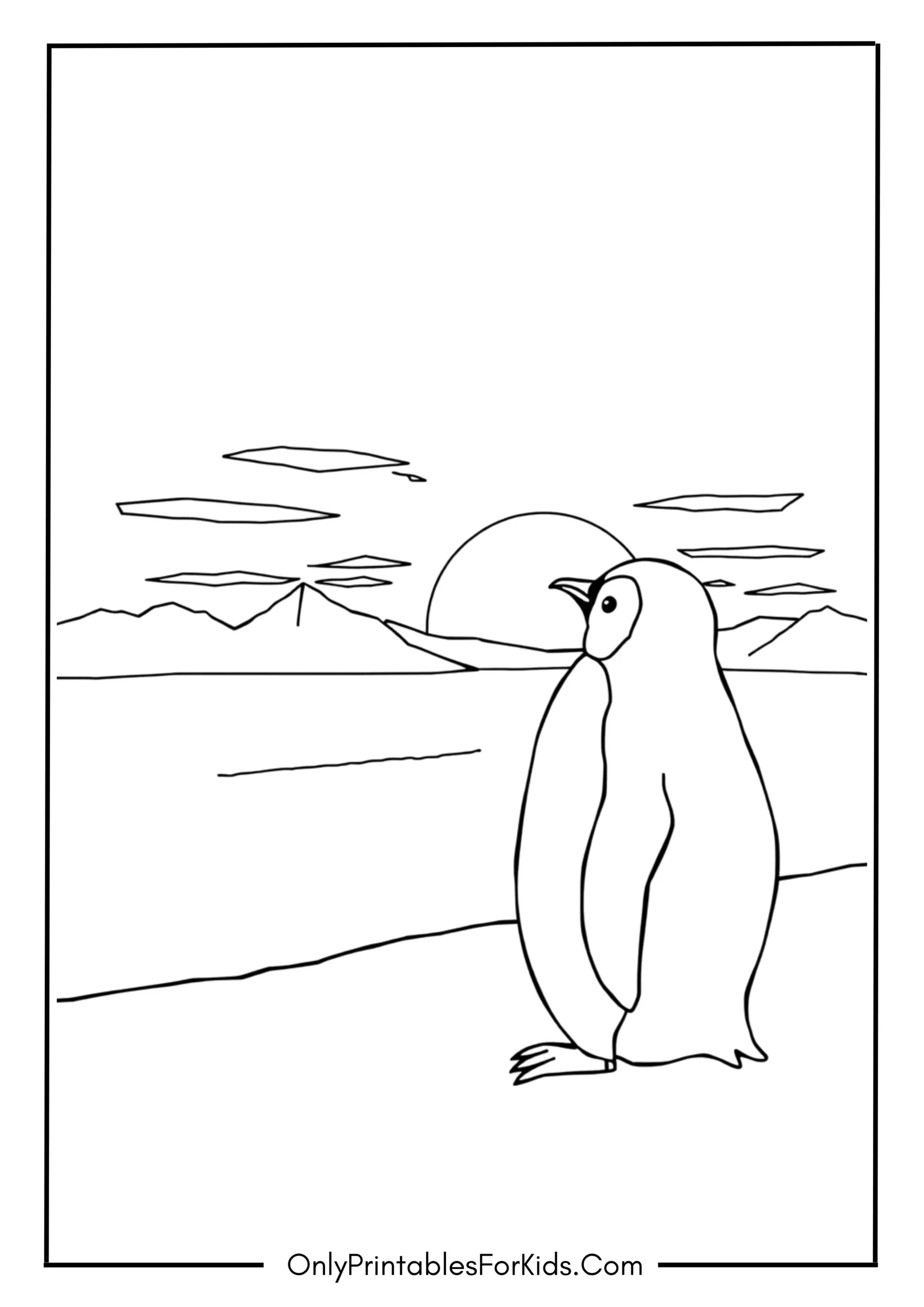 Penguin Watching the Sunrise Over the Ice