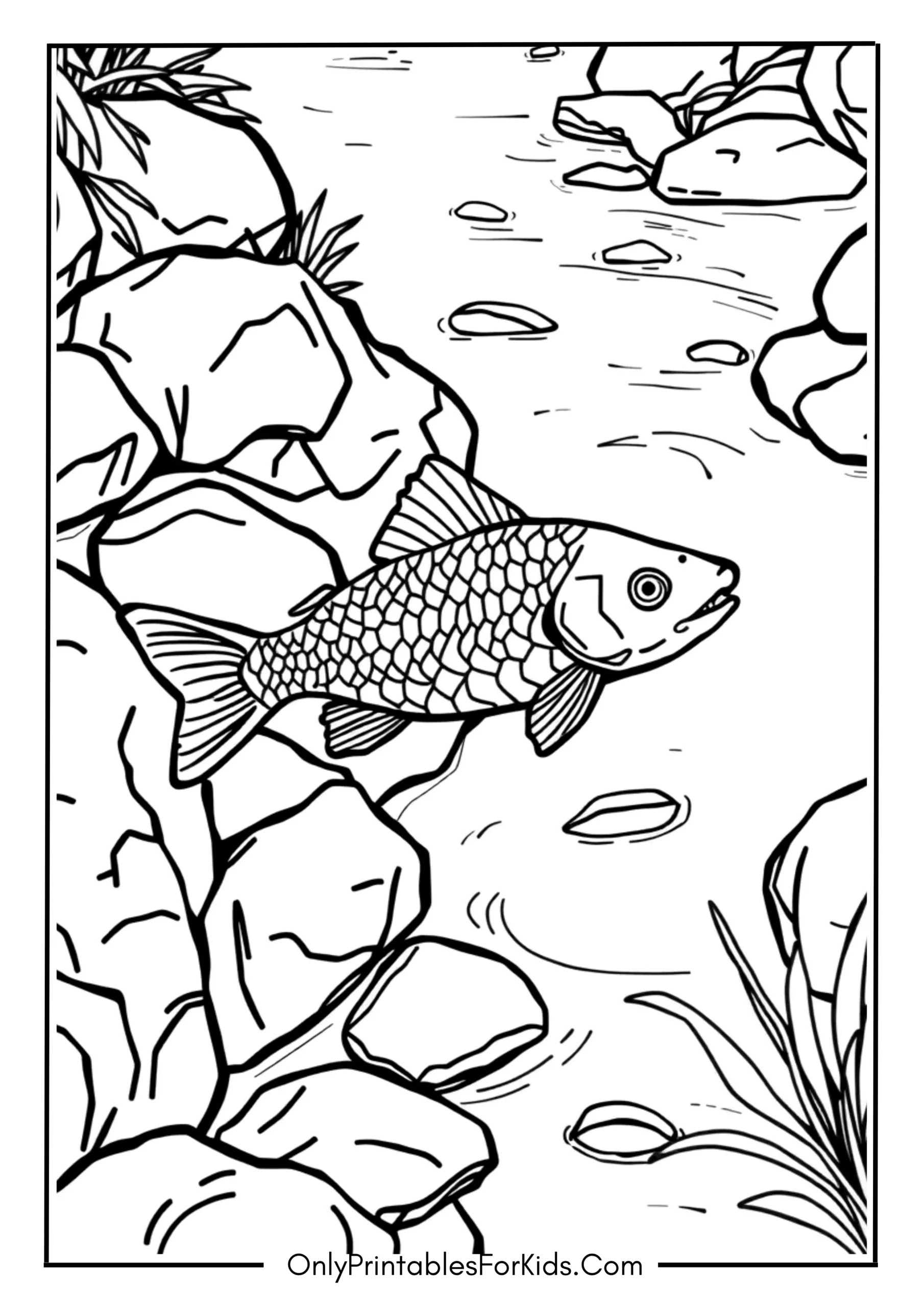 Realistic Fish in a Rocky Stream