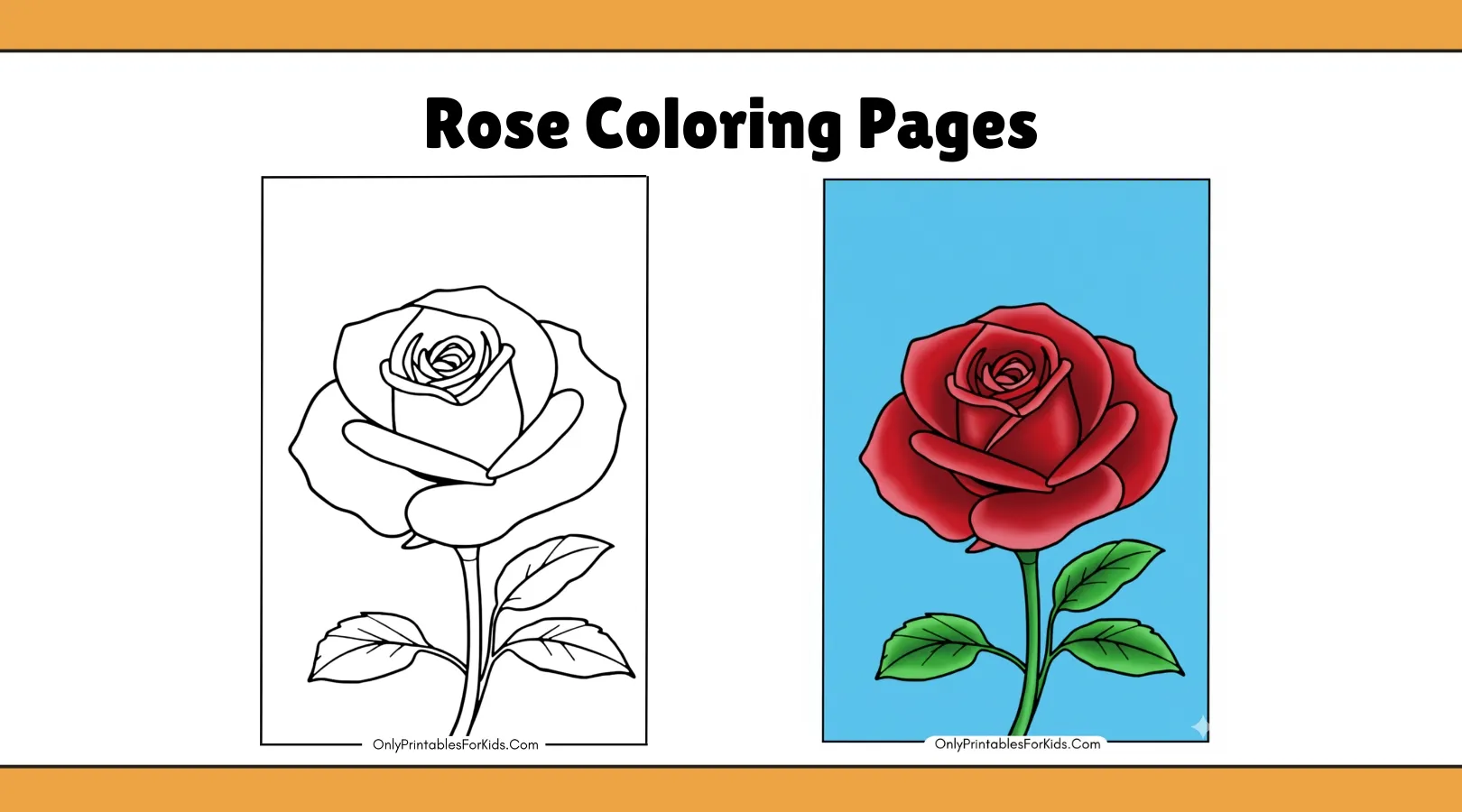 🌹 Beautiful Rose Coloring Pages | Free Print & Enjoy