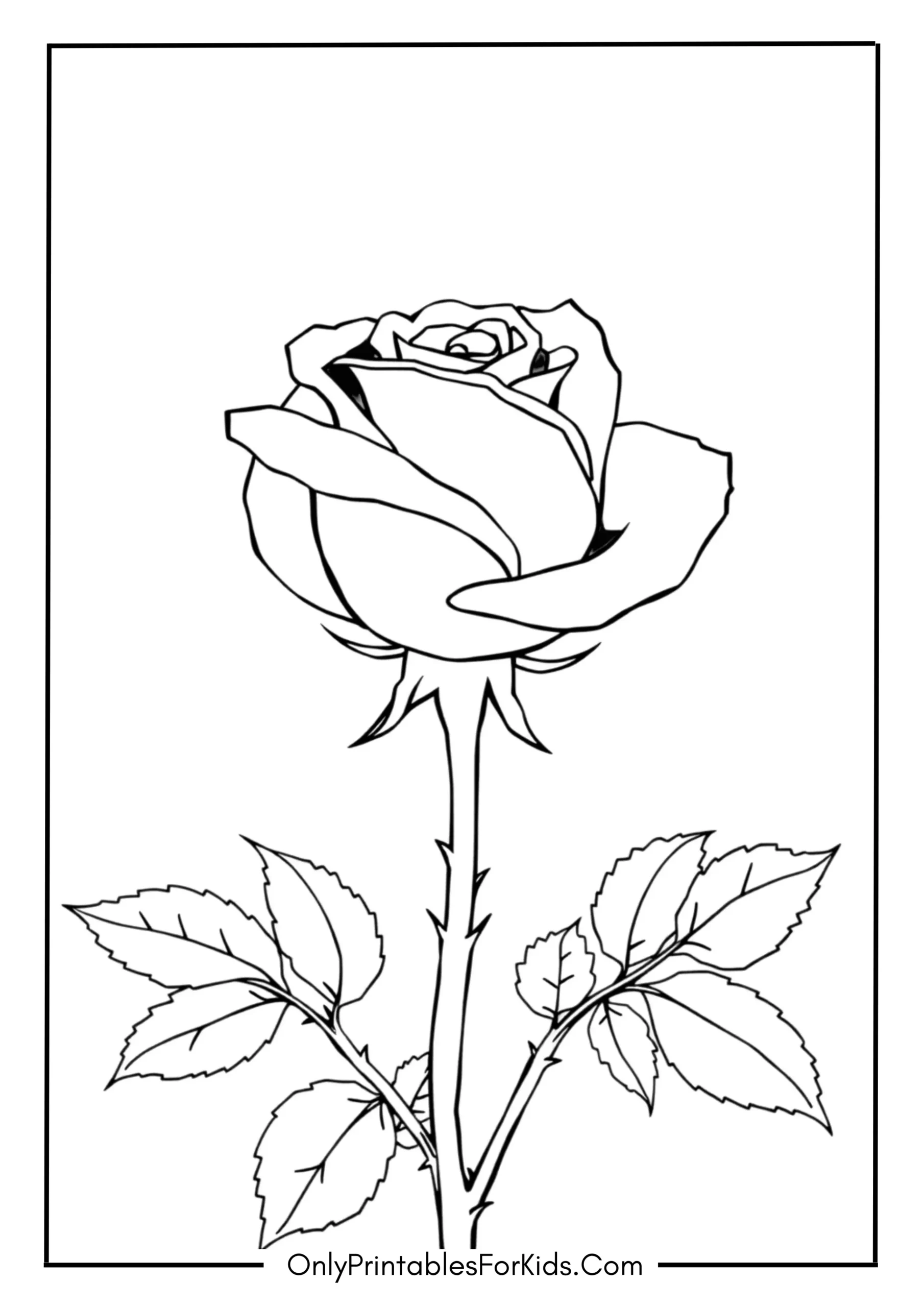 Roses and Thorns: A Realistic View