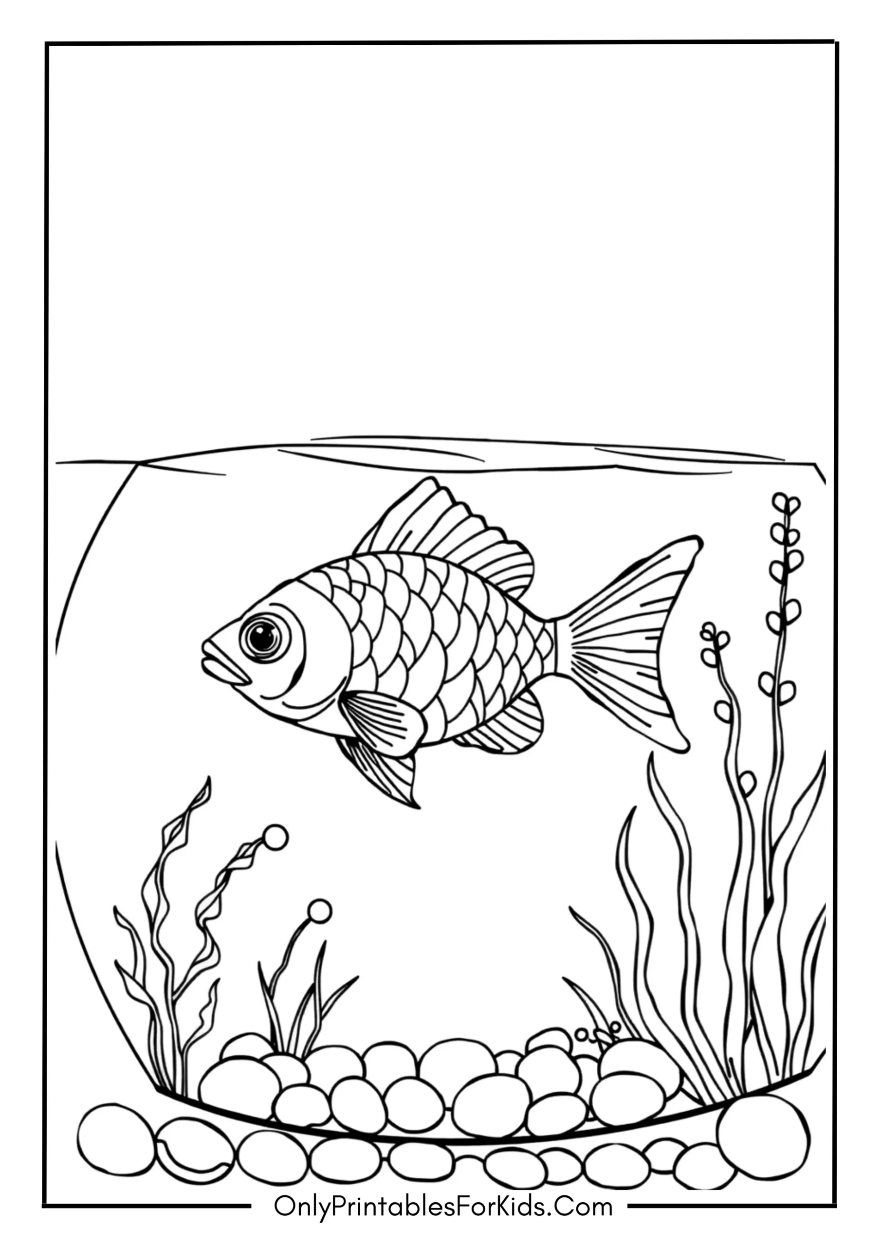 Shimmering Fish in a Calm Aquarium