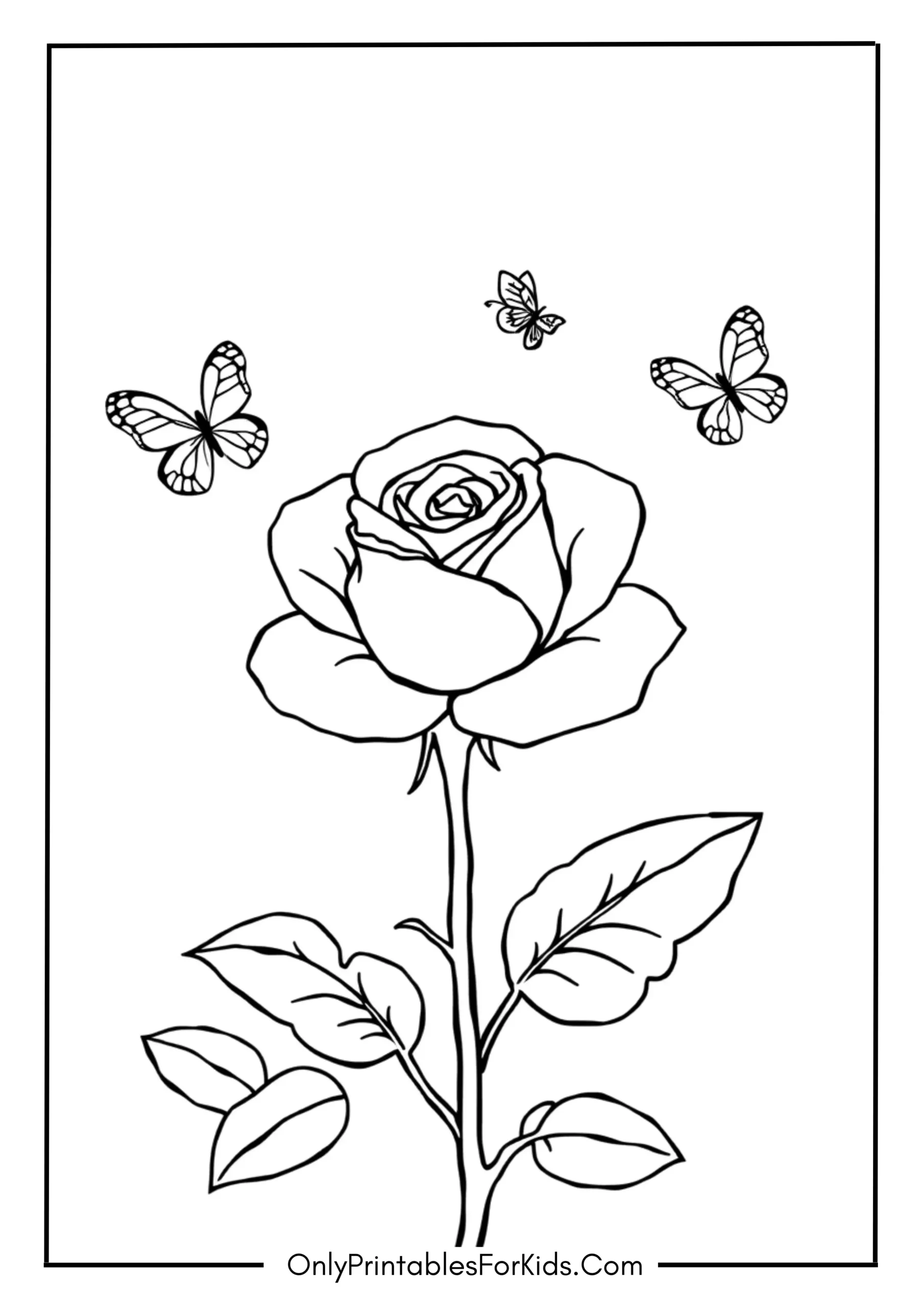 The First Rose of the Season