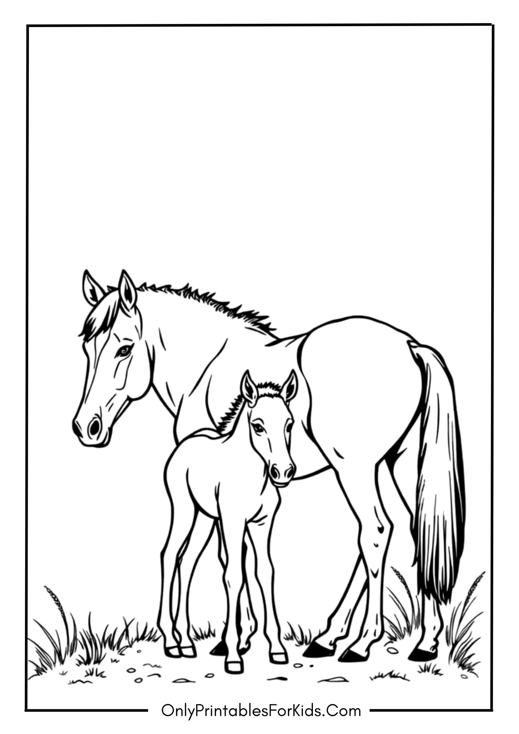 Young Foal Standing Next to Its Mother