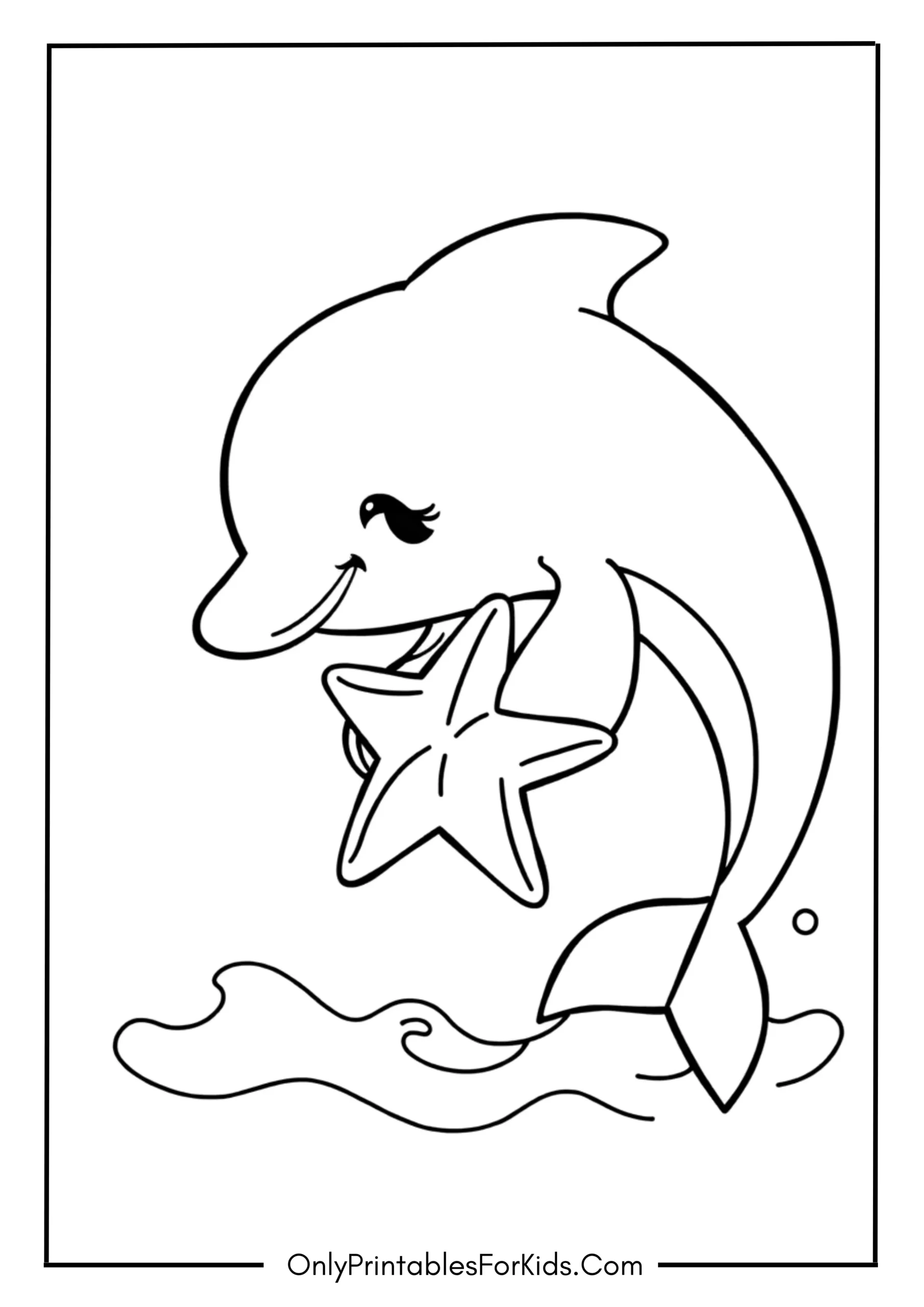 Baby Dolphin Holding a Starfish