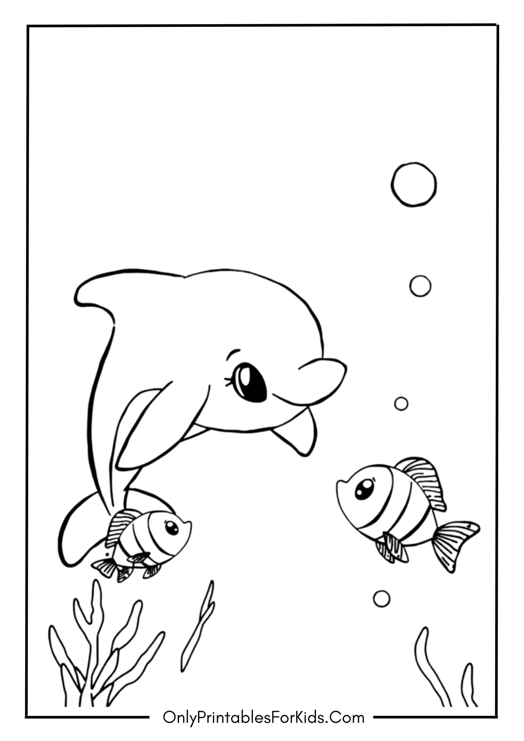 Baby Dolphin Playing Peek-a-Boo with Fish