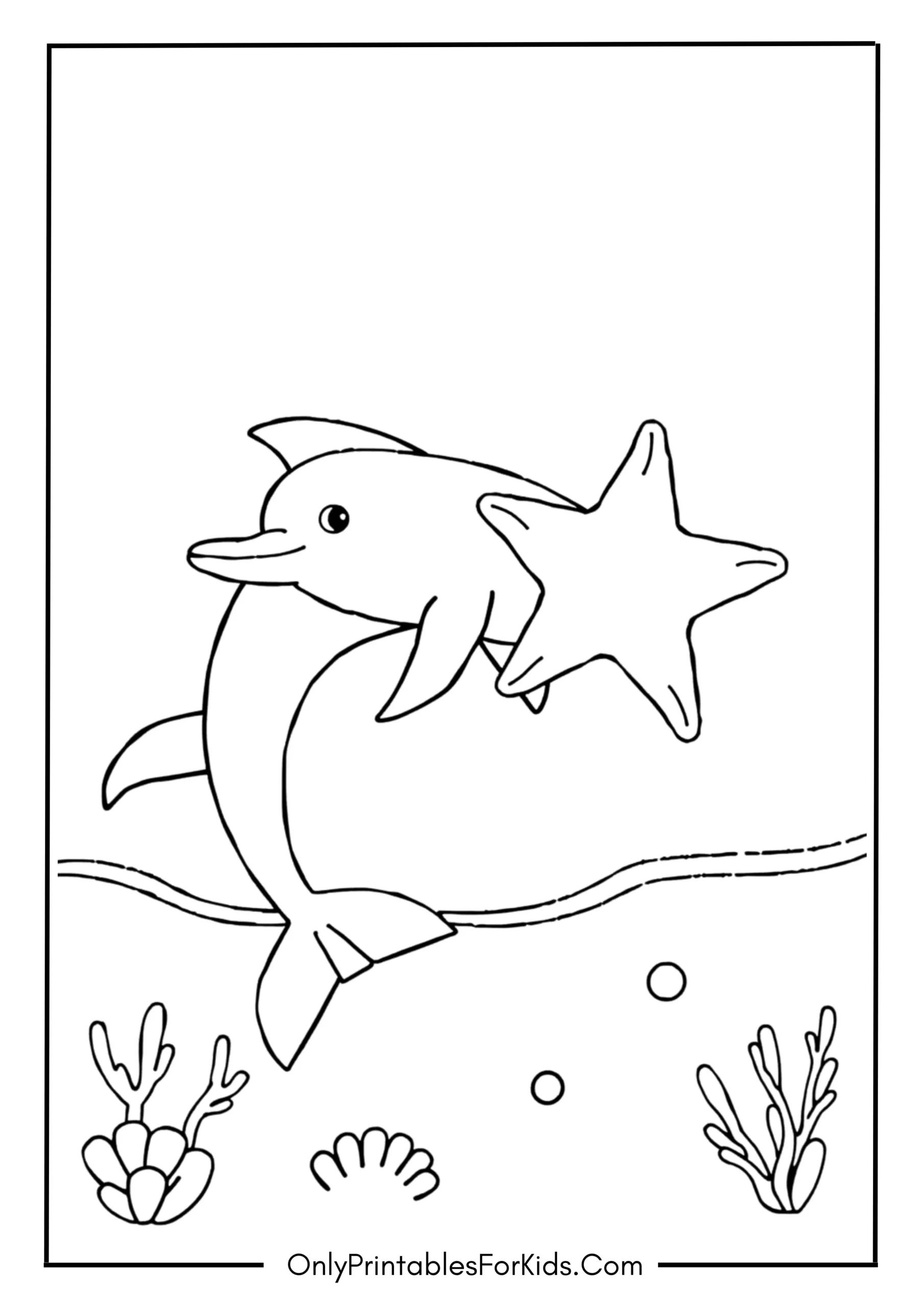 Baby Dolphin with a Gigantic Starfish