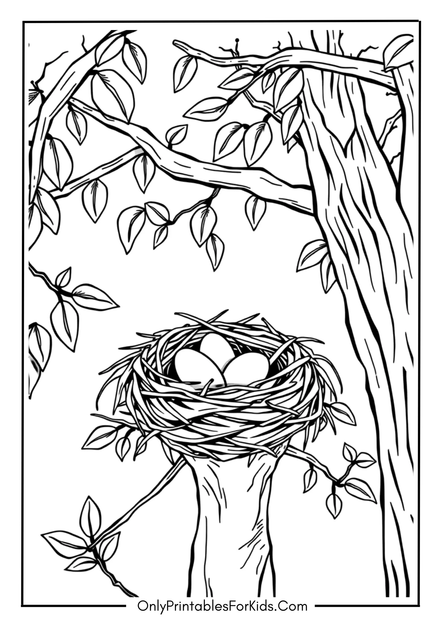 Bird Nest with Eggs in a Tree