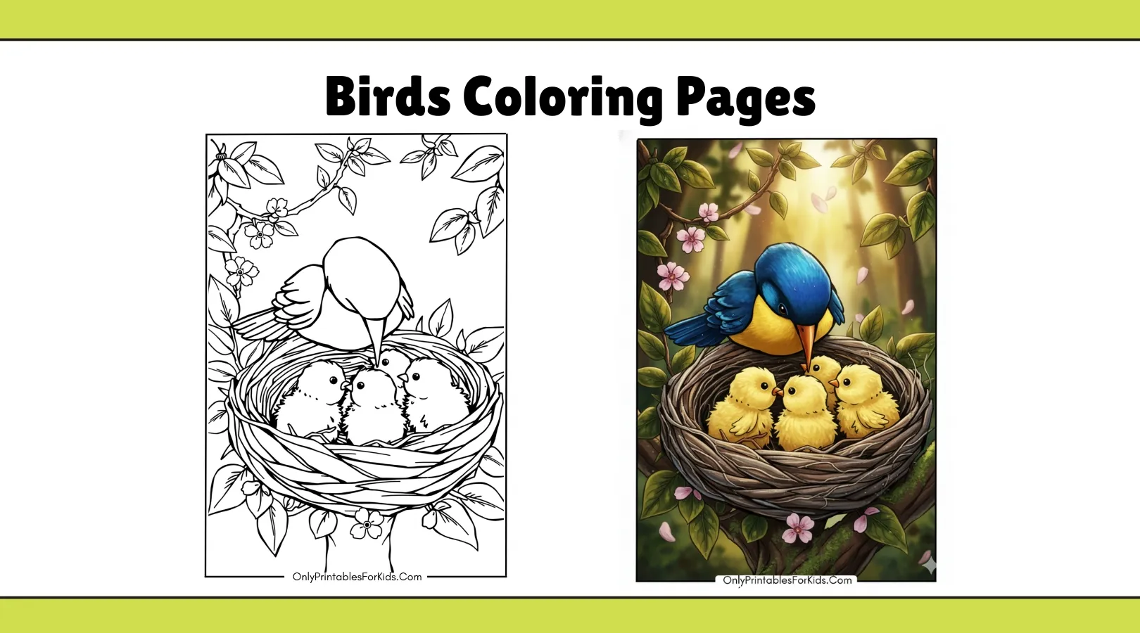 Birds Coloring Pages