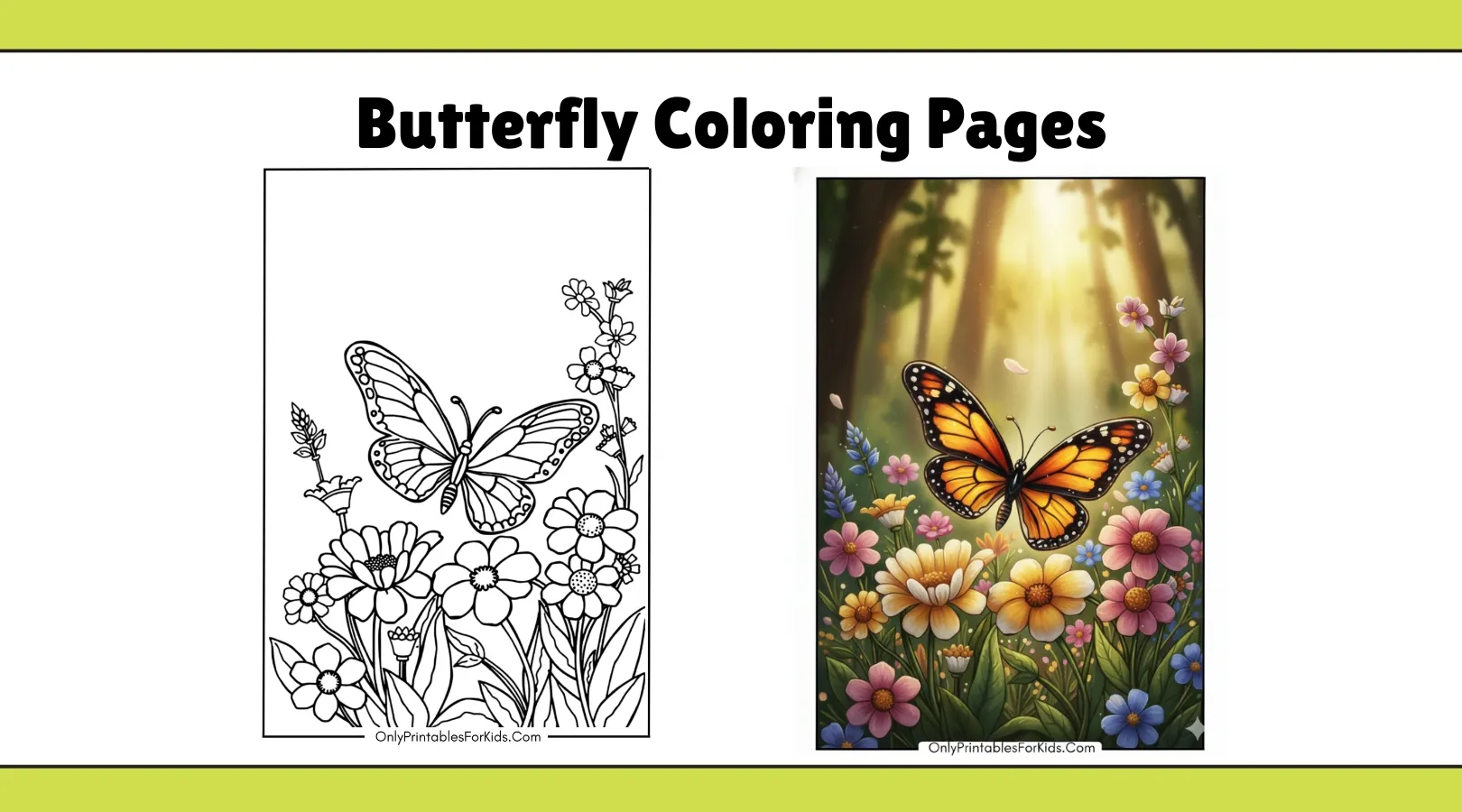 Butterfly Coloring Pages