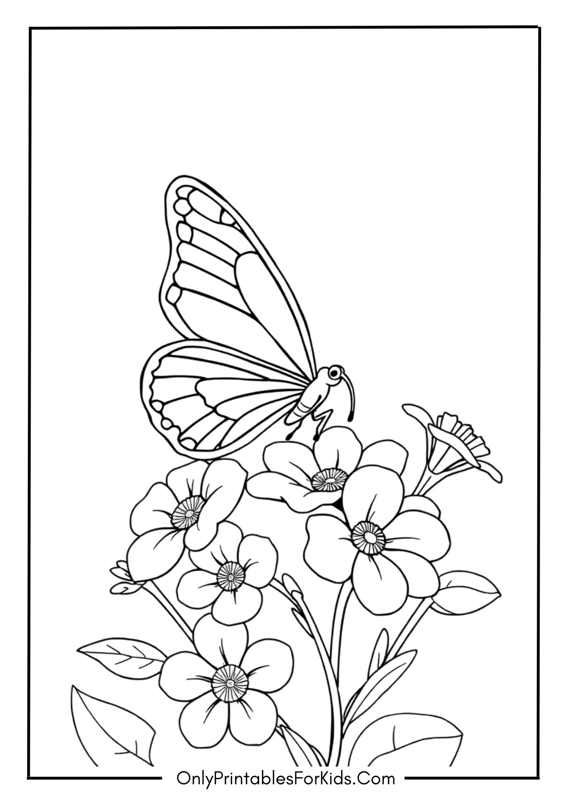 Butterfly With Flowers Coloring Page