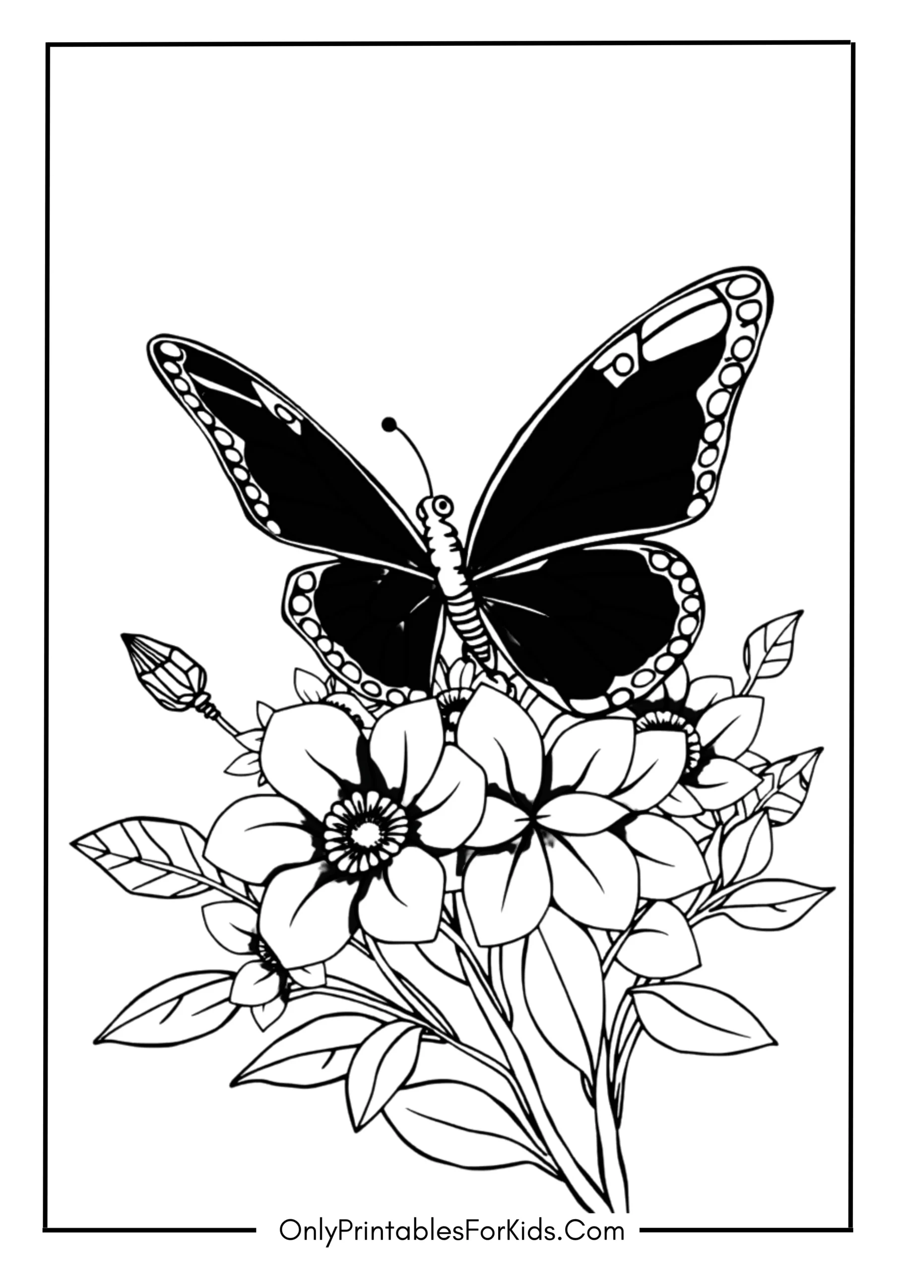 Butterfly on Flowers