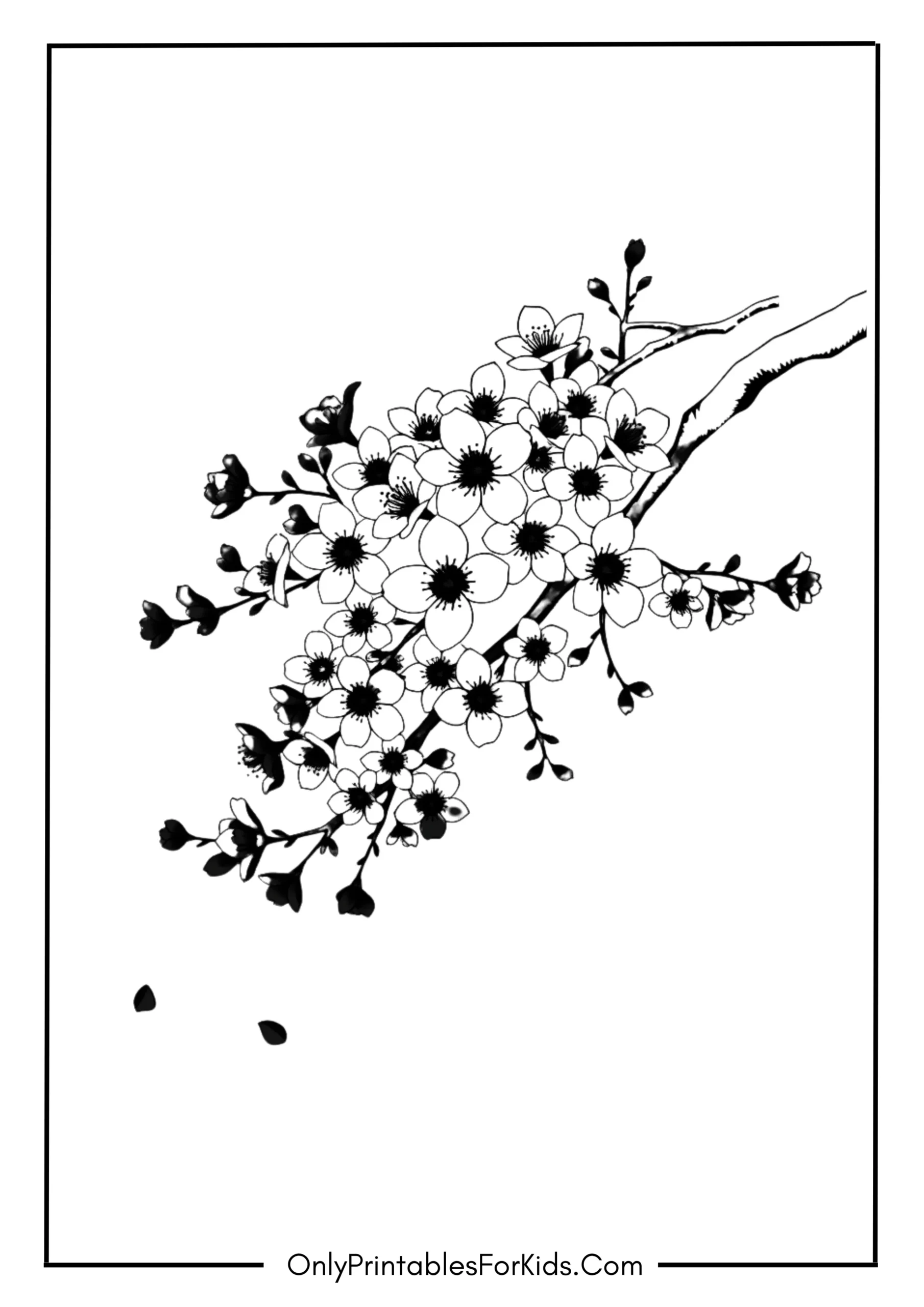 Cherry Blossom Branch