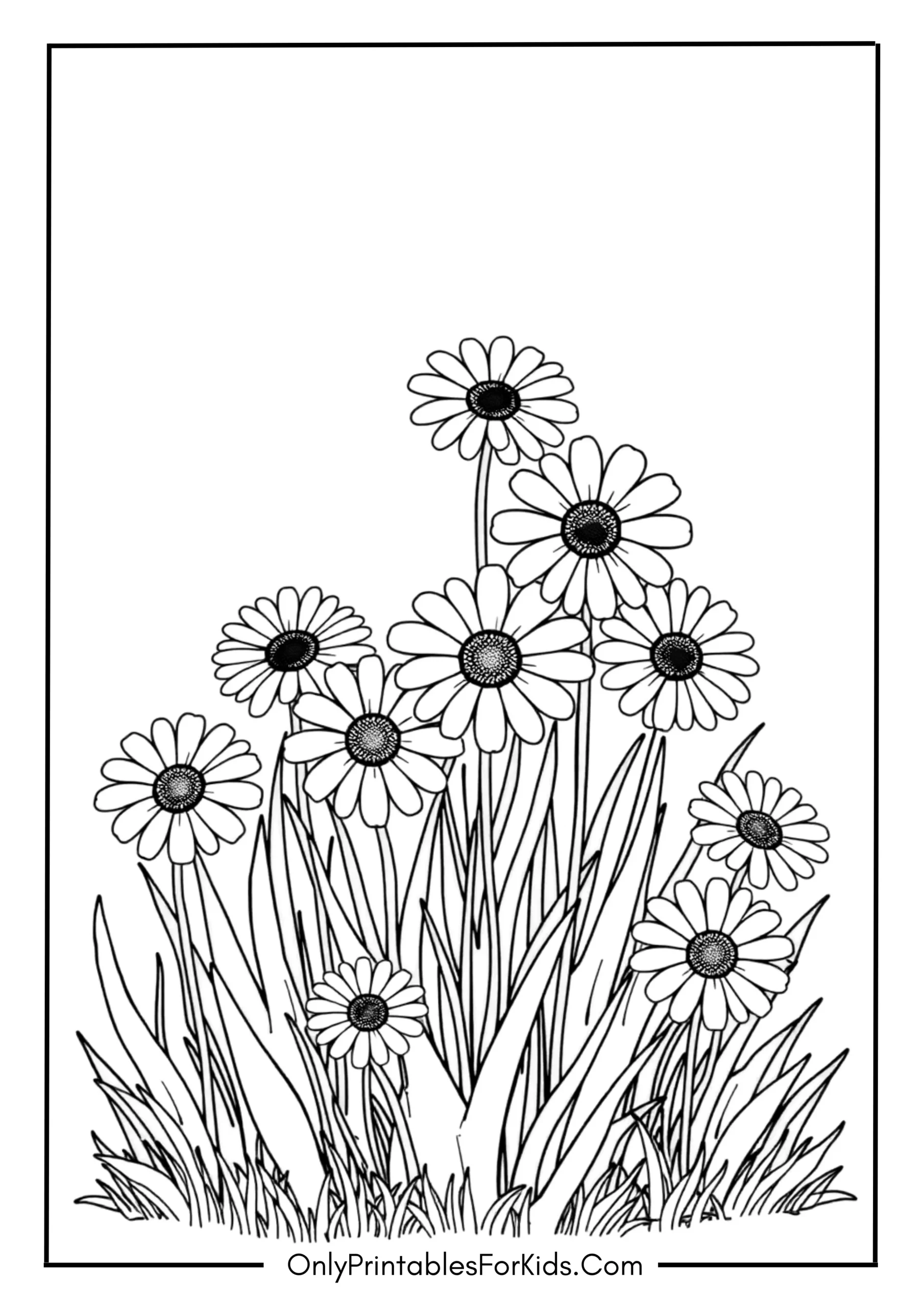 Daisy Garden Patch