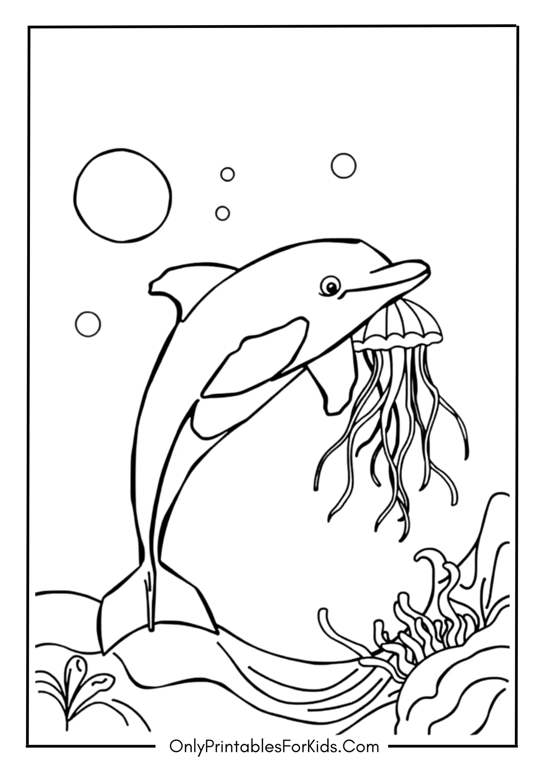 Dolphin Dancing in the Waves with a Jellyfish