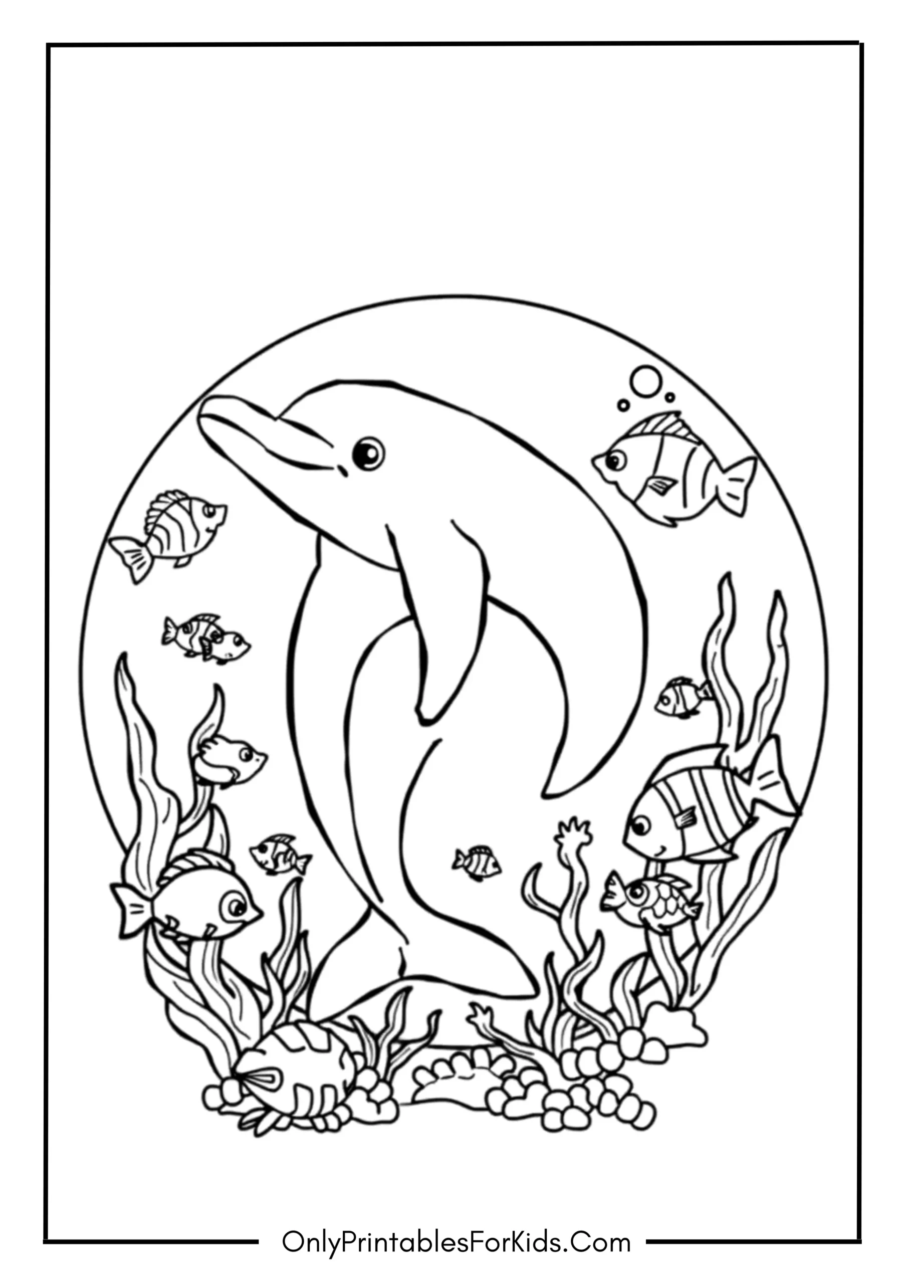 Dolphin Surrounded by Colorful Sea Creatures