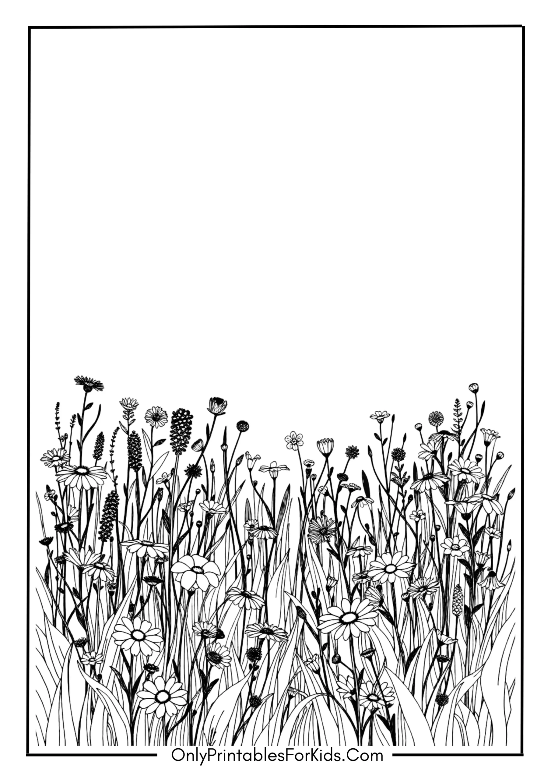 Field of Wildflowers