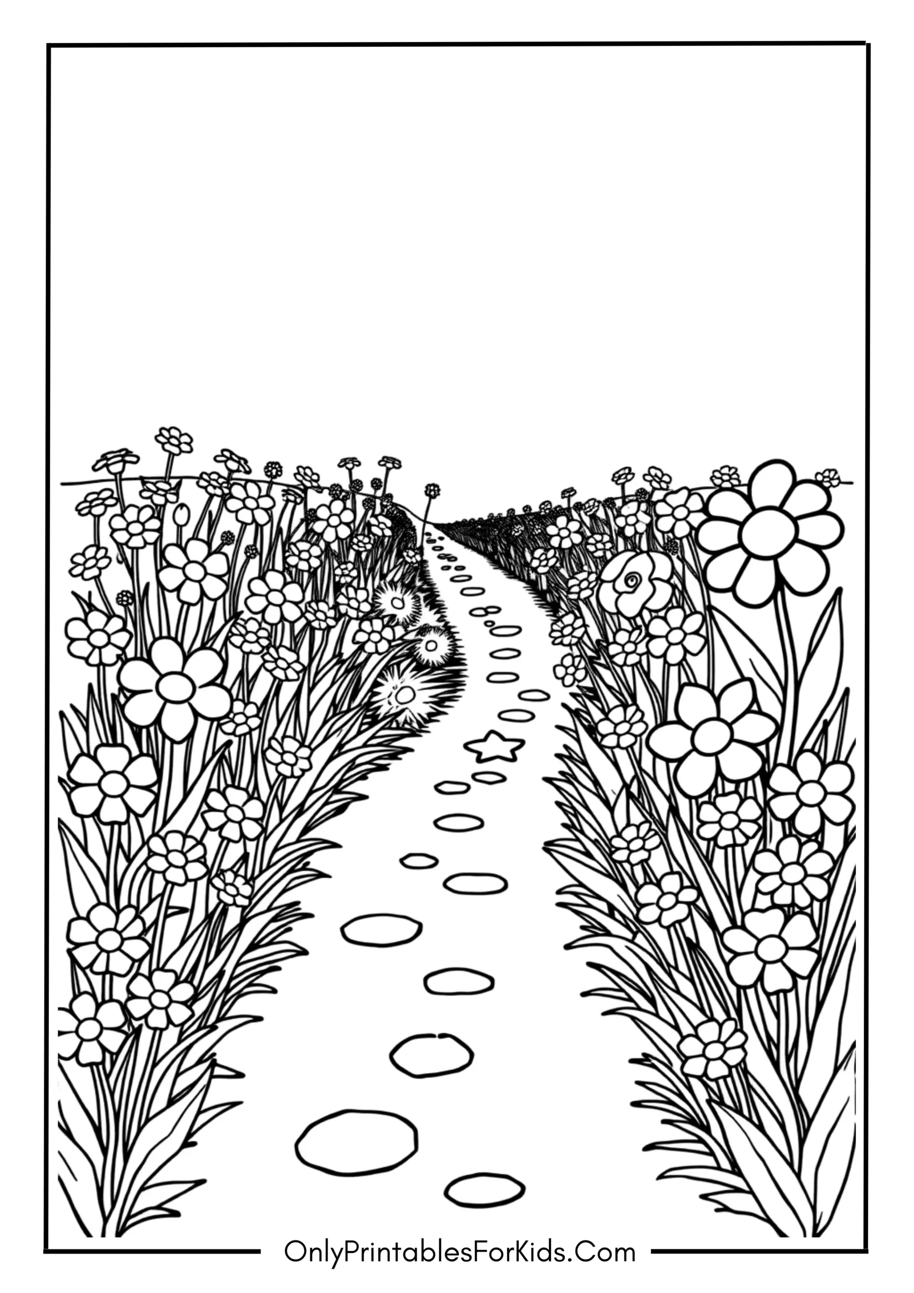 Flower Field With Path