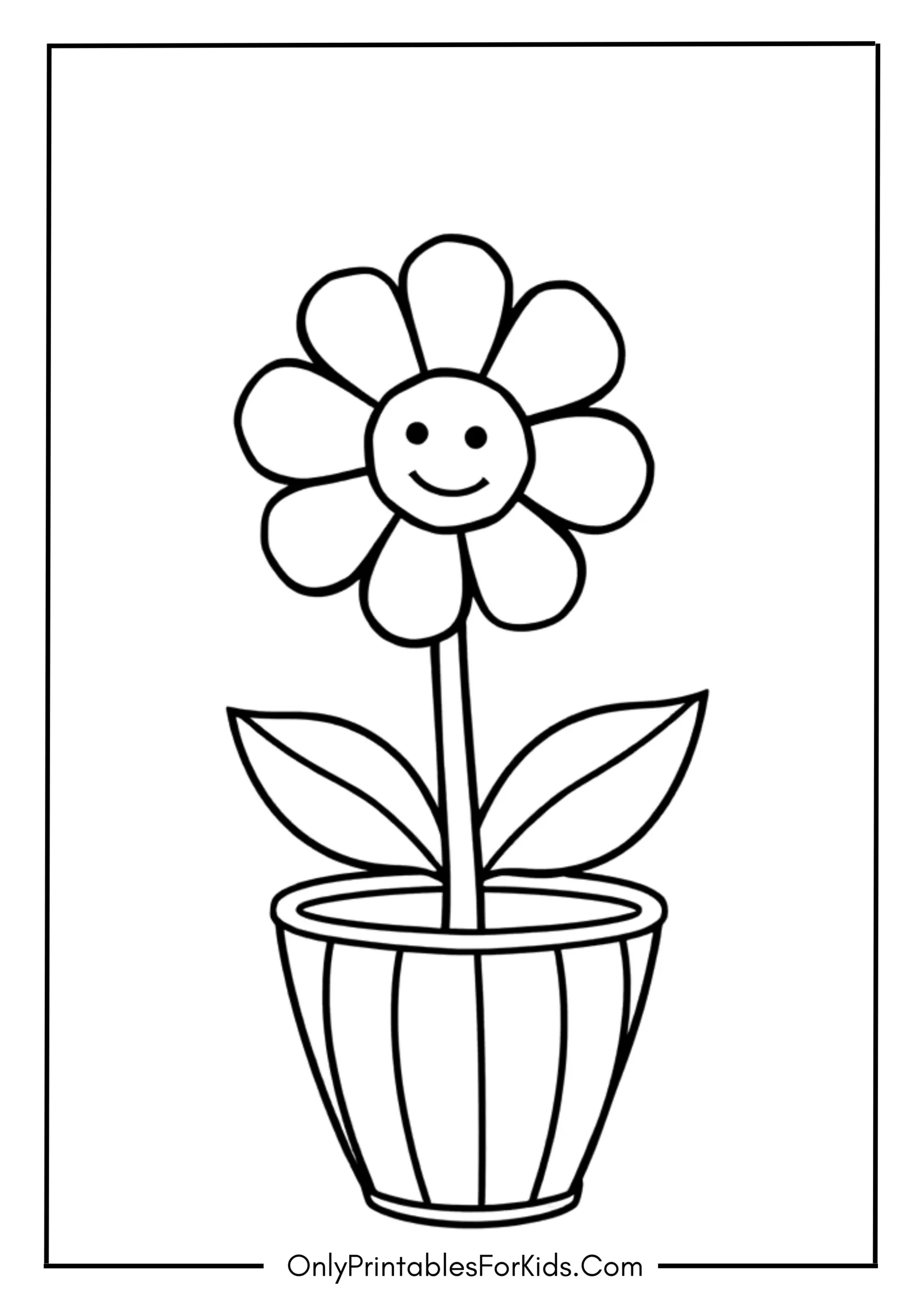 Flower in a Cute Pot