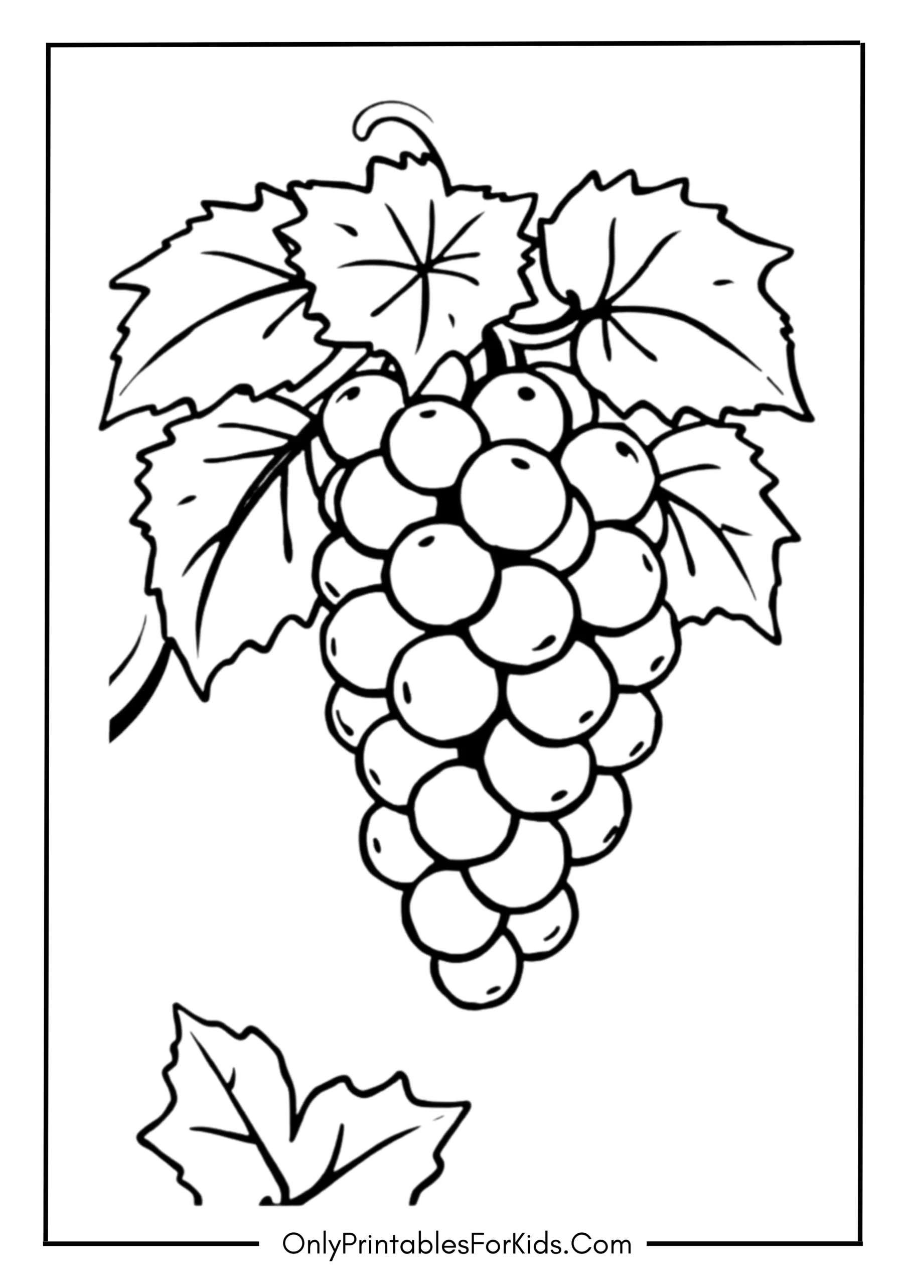 Grapes Coloring Page