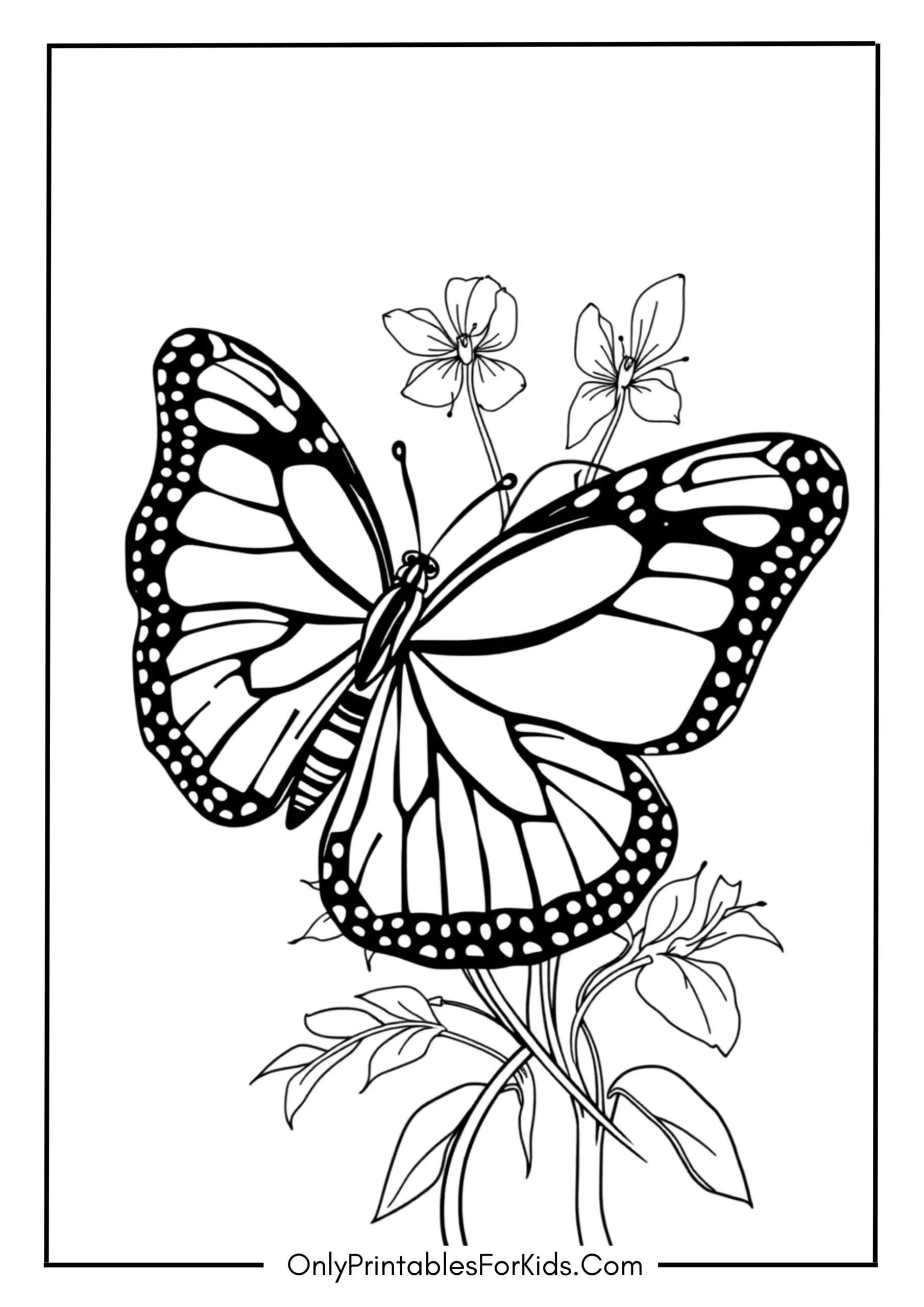 Monarch Butterfly Coloring Page
