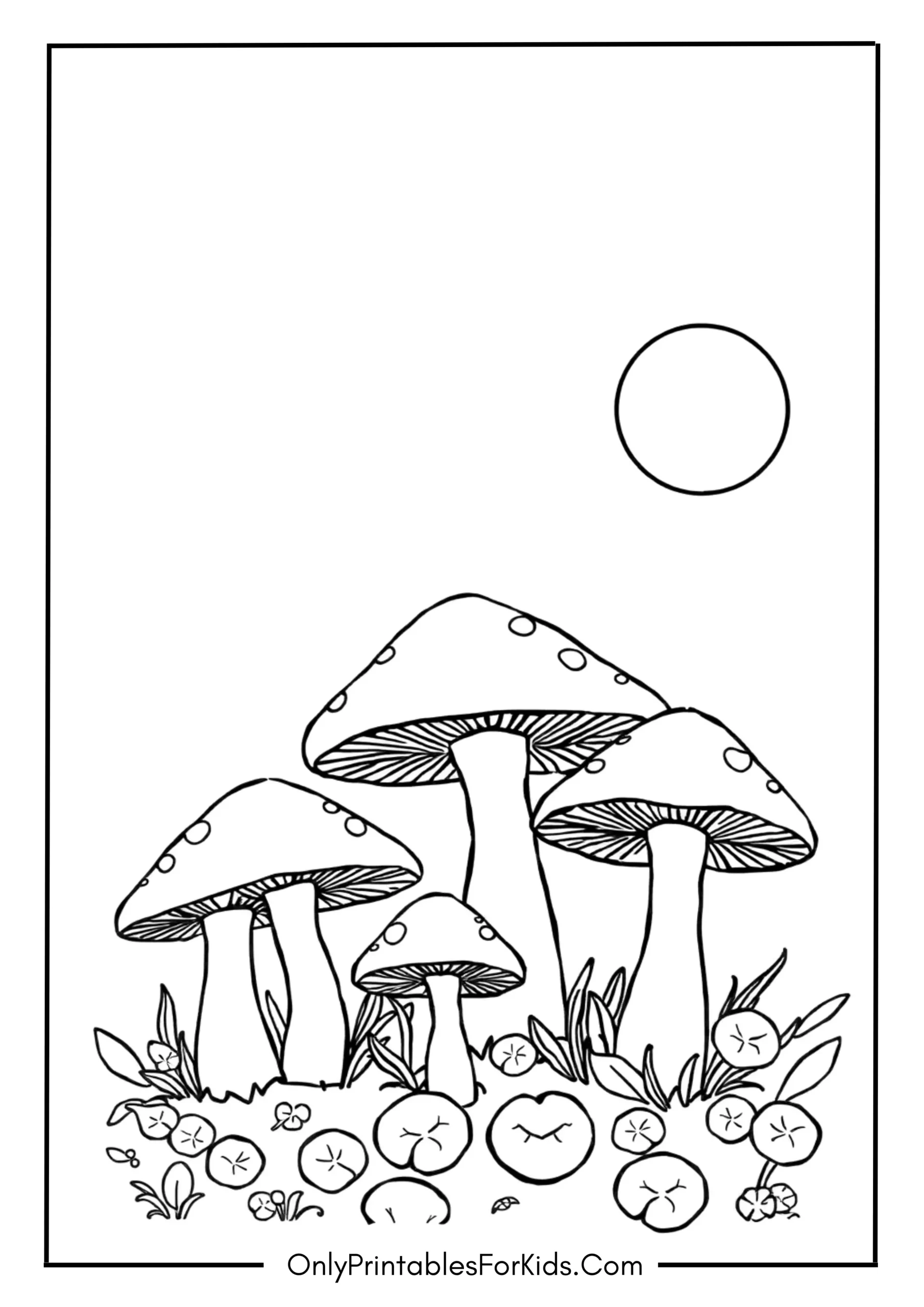 Mushrooms Under the Moonlight