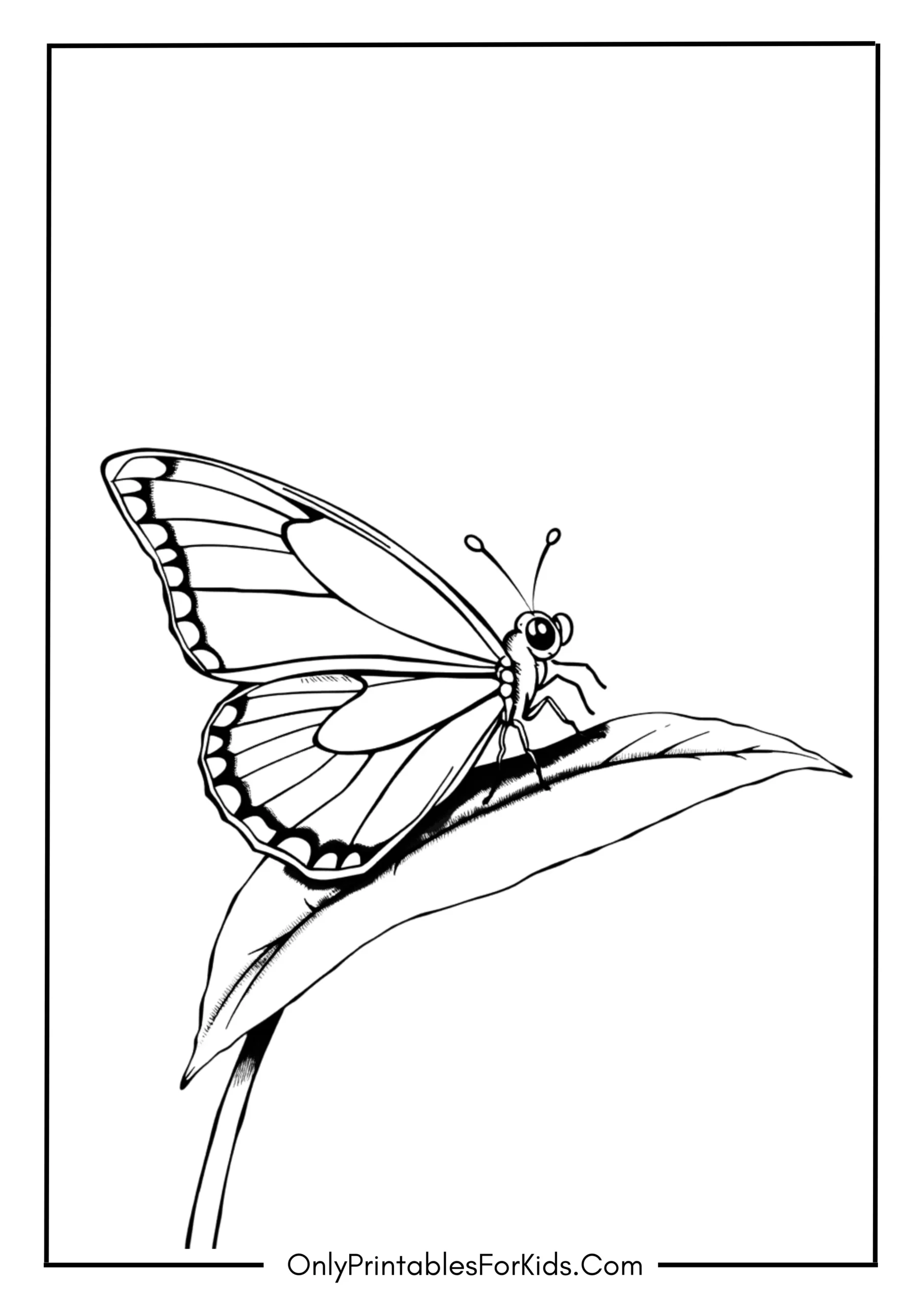 Realistic Butterfly Coloring Page