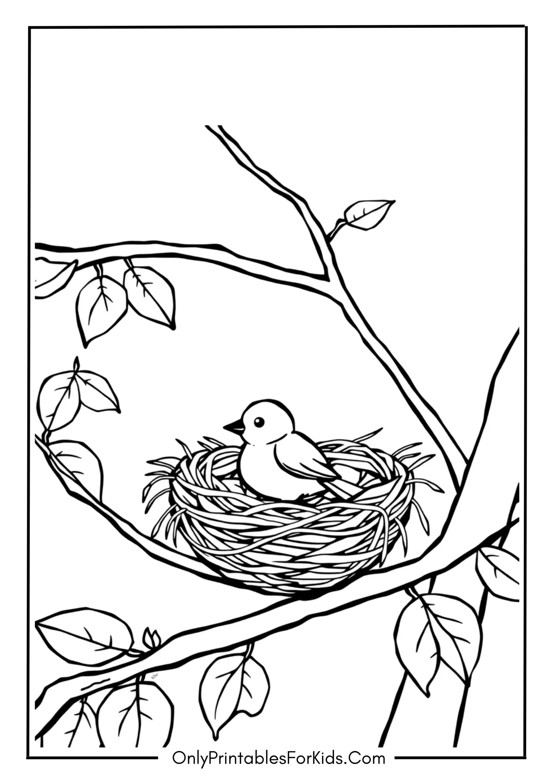 Small Bird Resting in a Nest