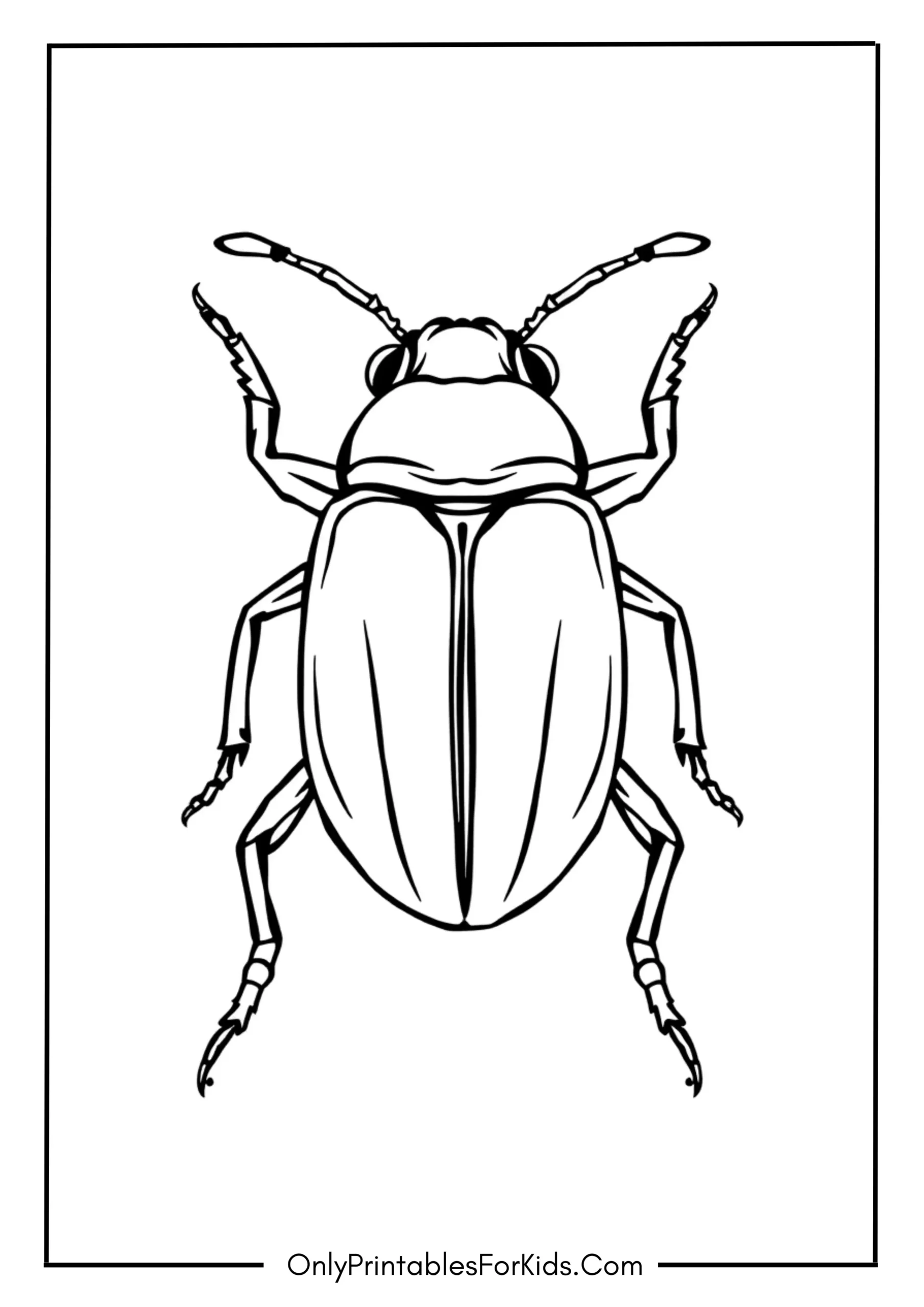 Beetle Coloring Page