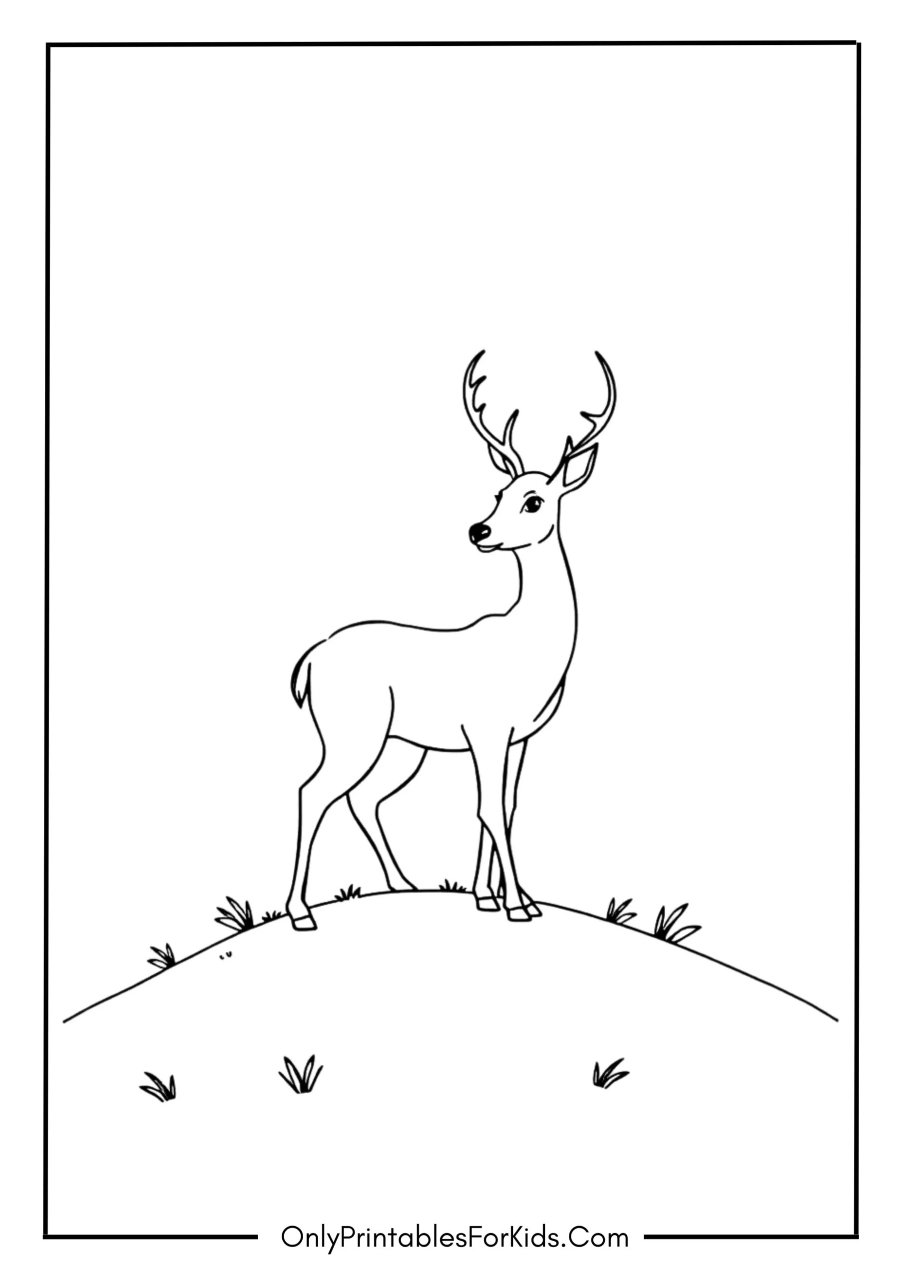 Deer Looking Over a Hill