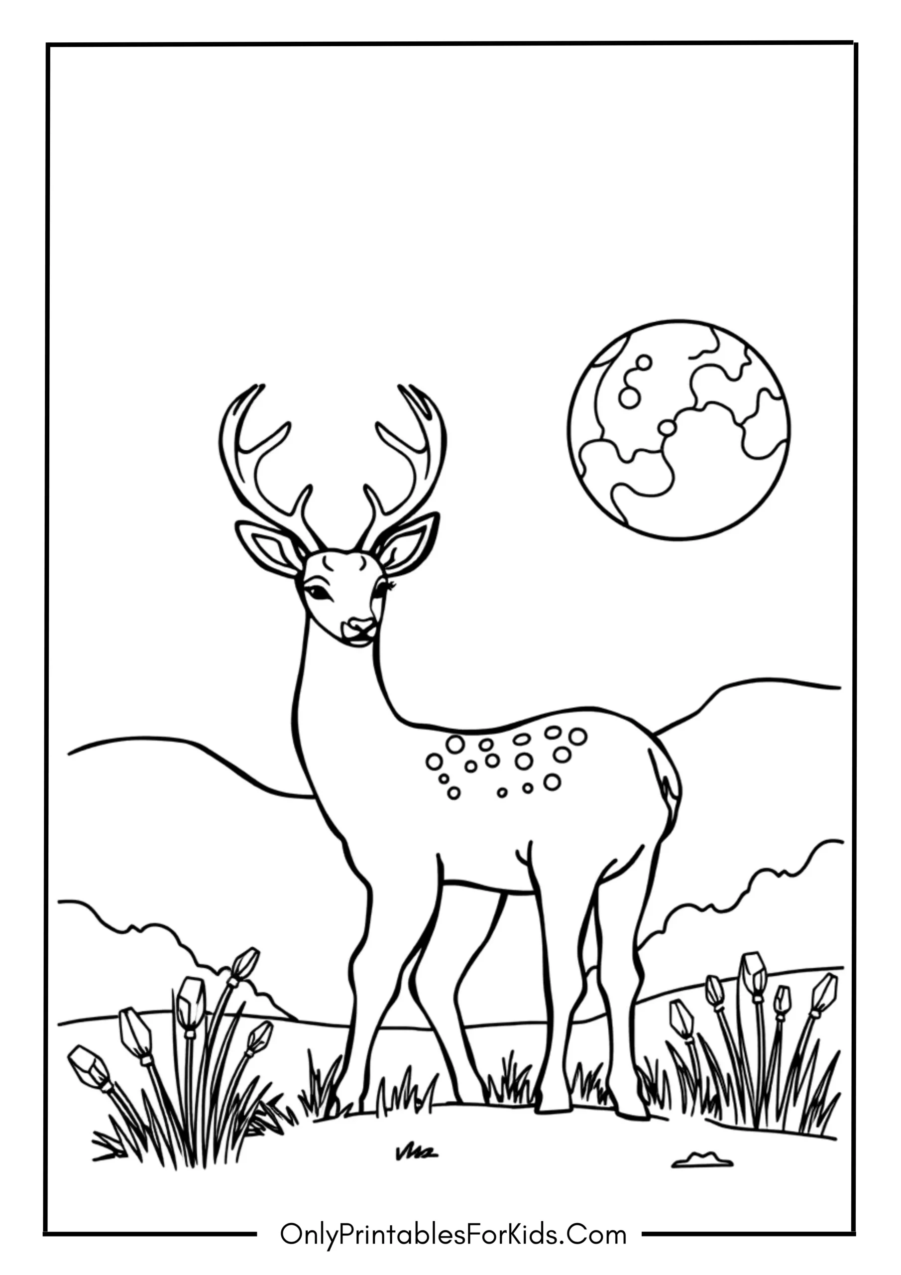 Deer Under the Moonlight